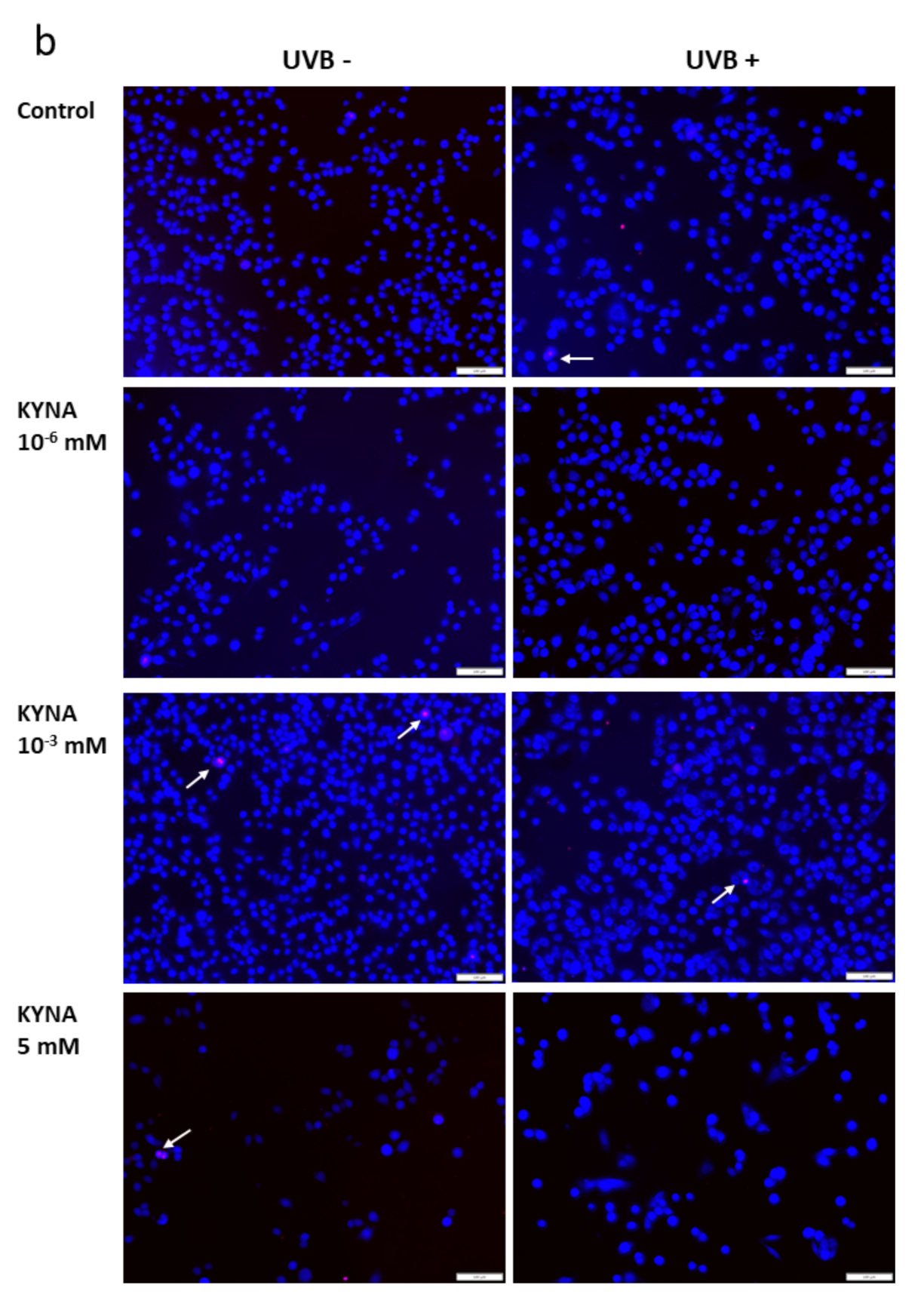 Ijms 22 07500 g006b 550