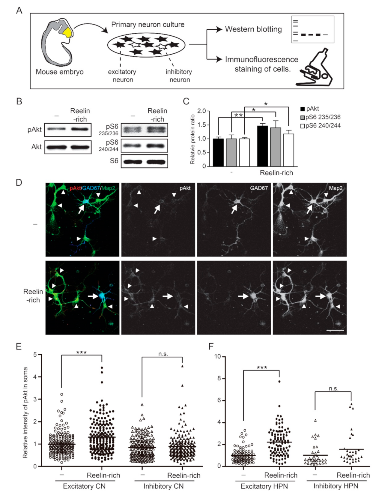 Ijms 22 07510 g001 550
