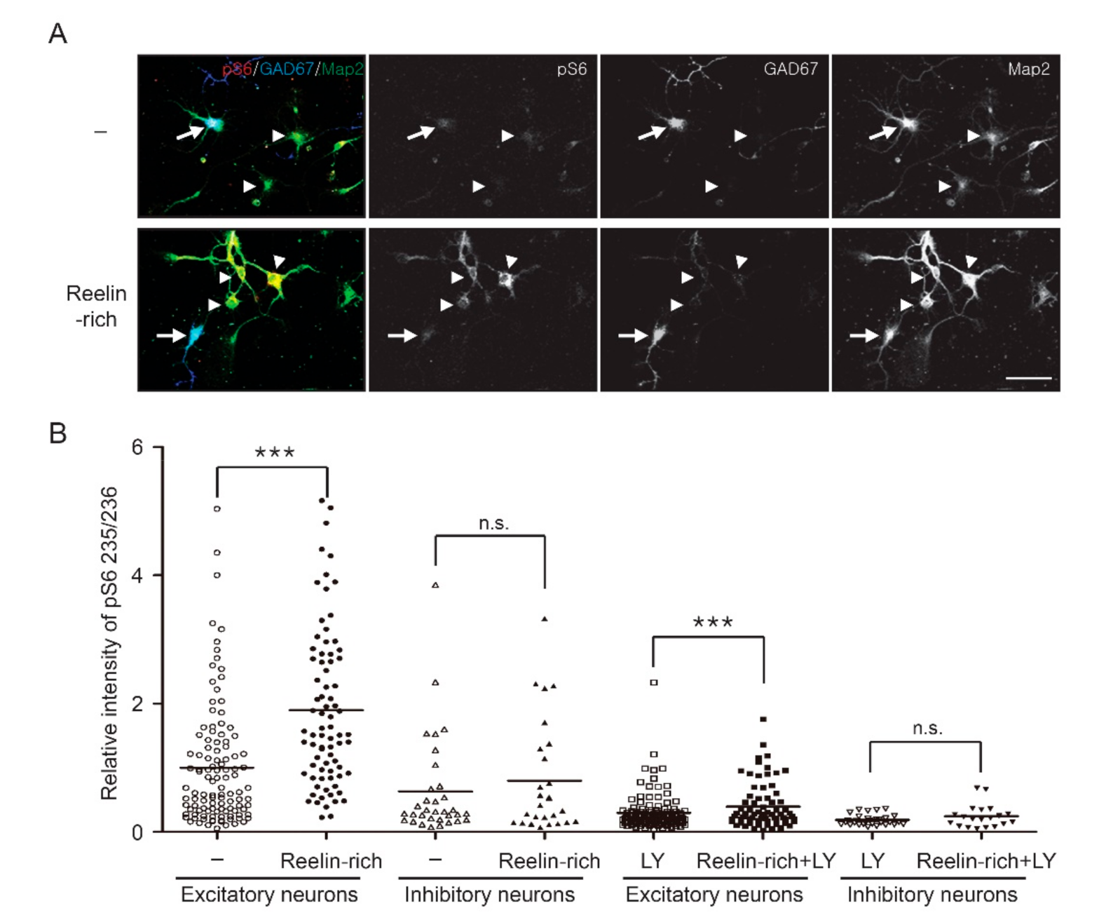 Ijms 22 07510 g002 550