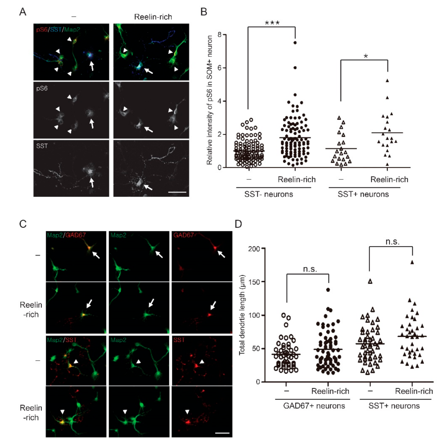 Ijms 22 07510 g003 550