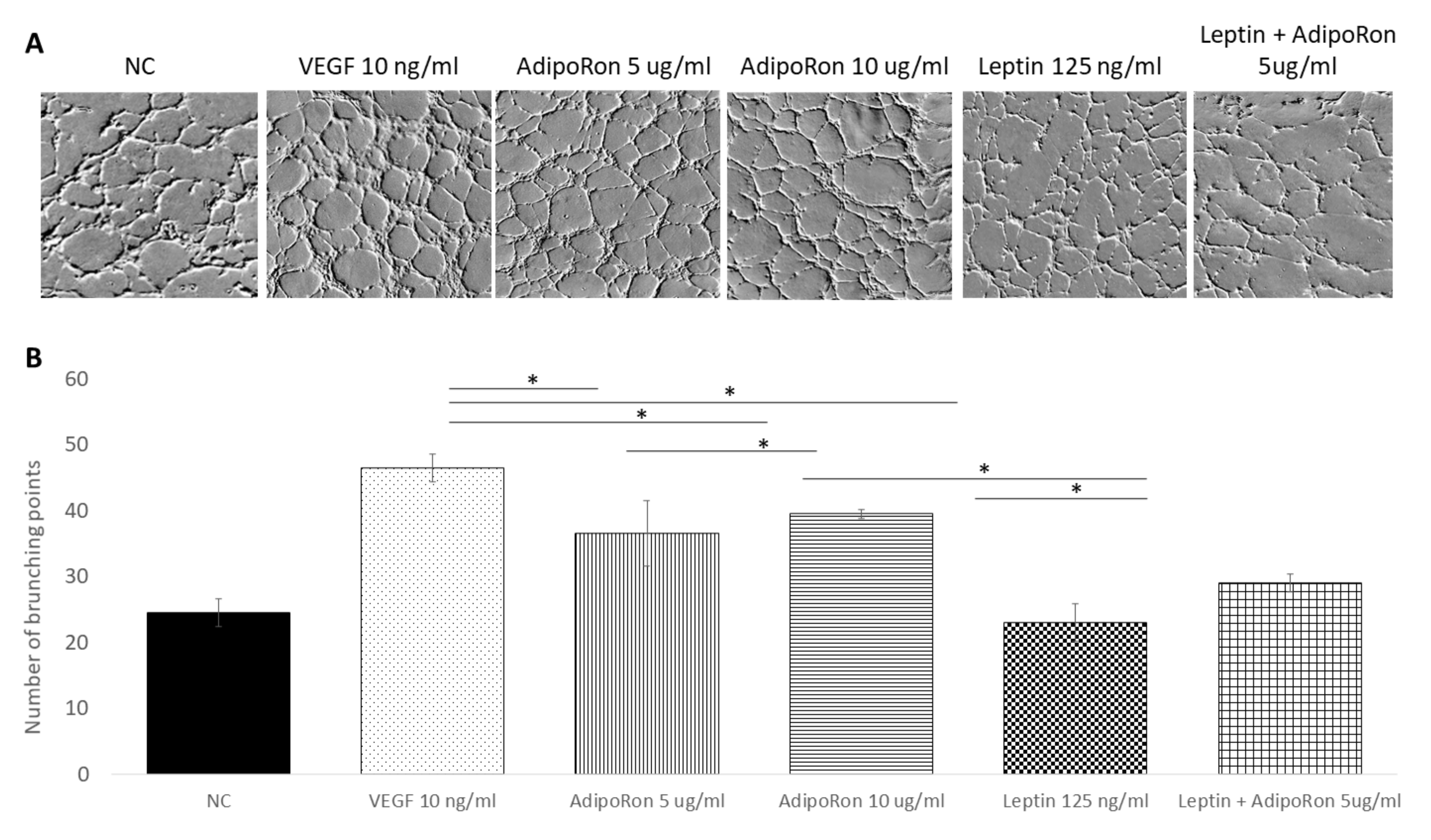 Ijms 22 07516 g002 550