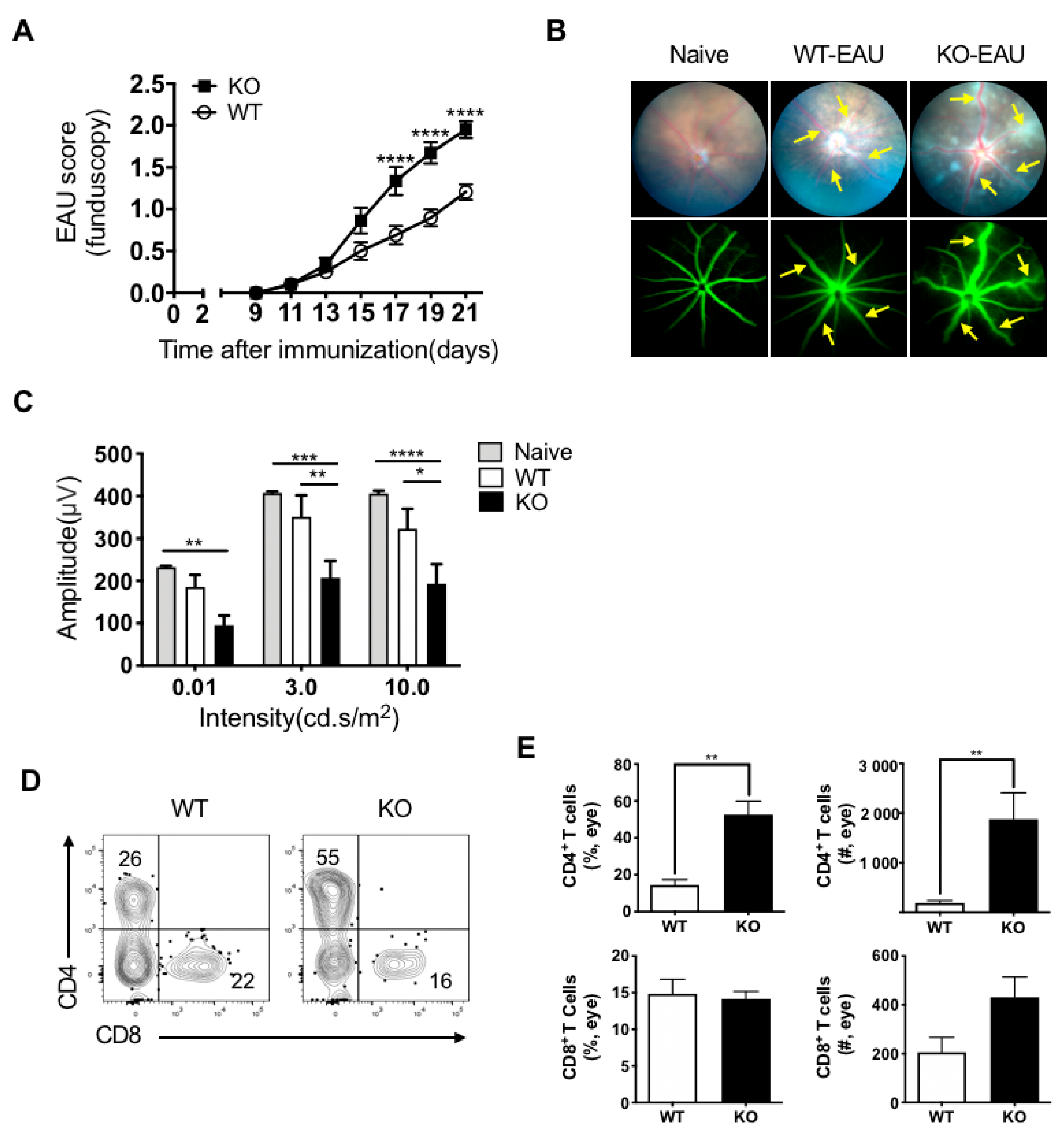 Ijms 22 07517 g001 550