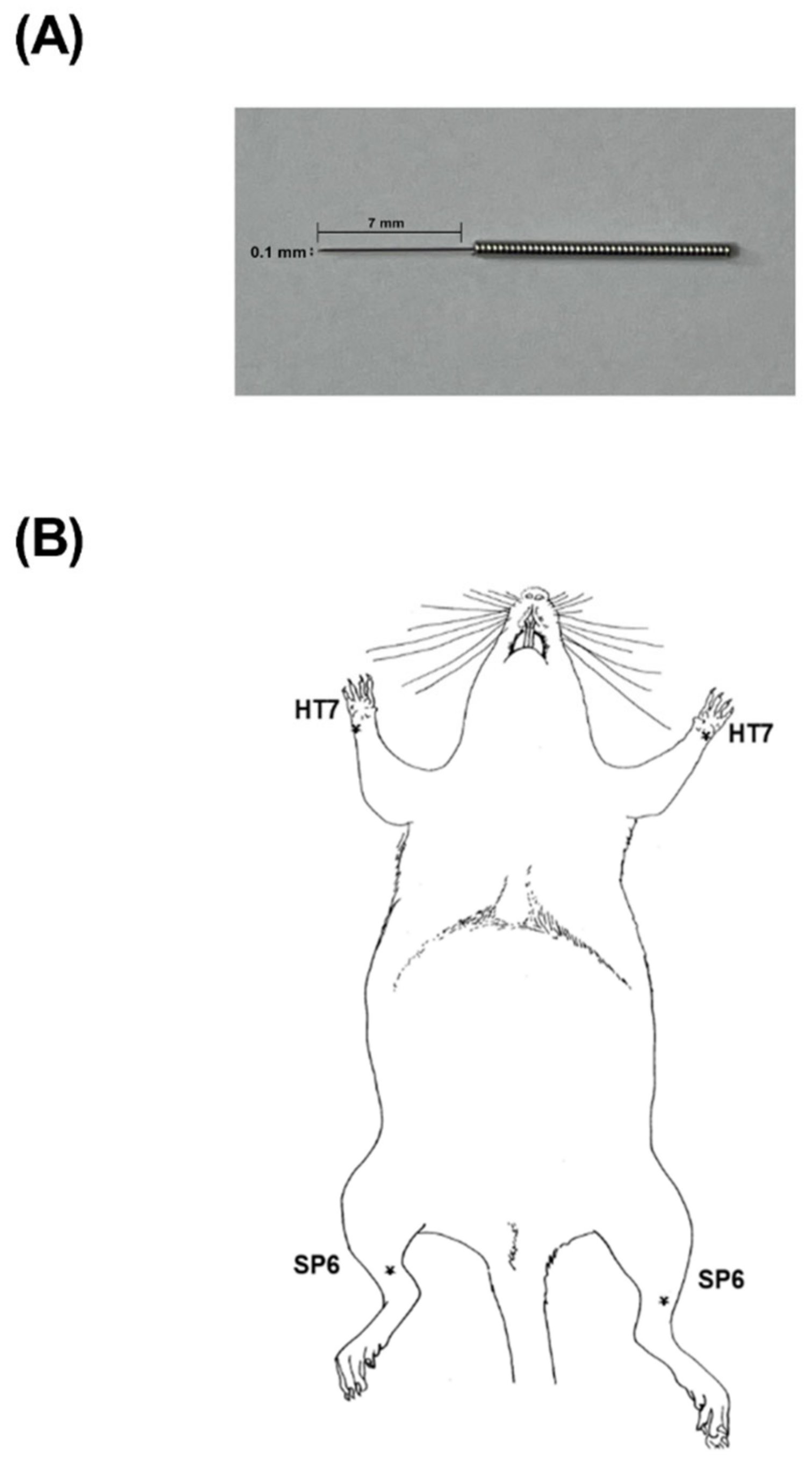 Ijms 22 07519 g004 550