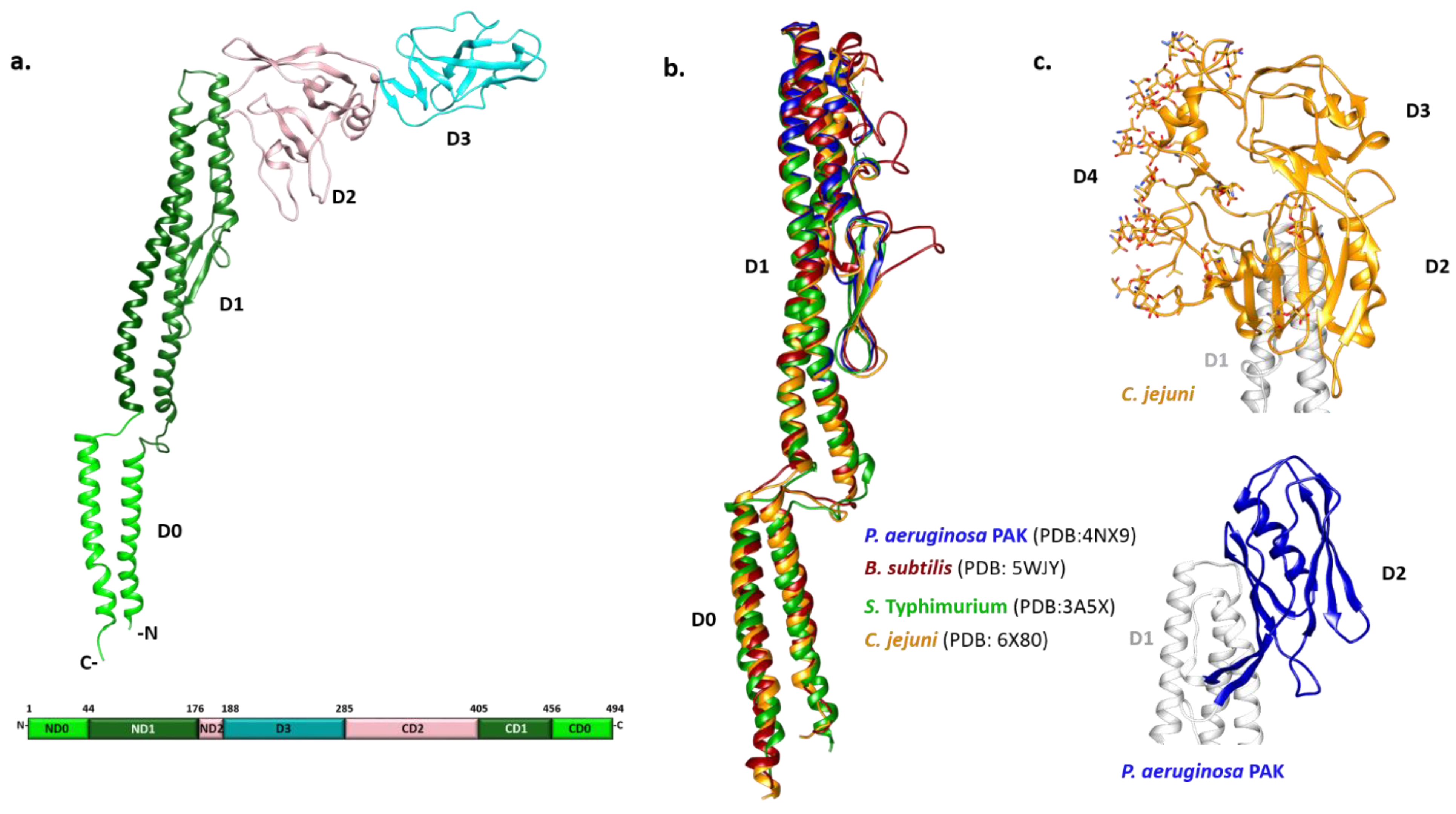 Ijms 22 07521 g001 Ijms 22 07521 g001