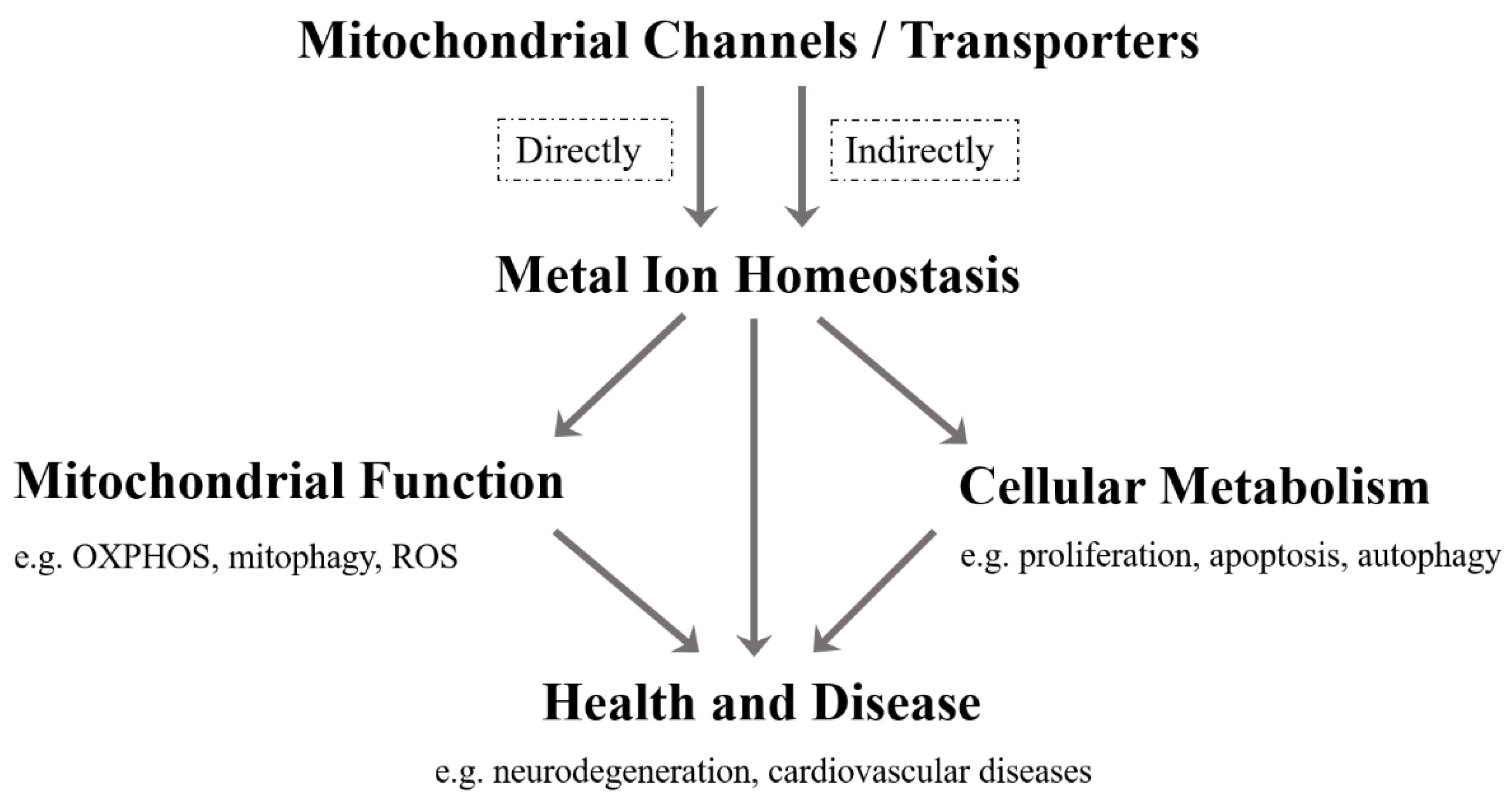 Ijms 22 07525 g001 Ijms 22 07525 g001