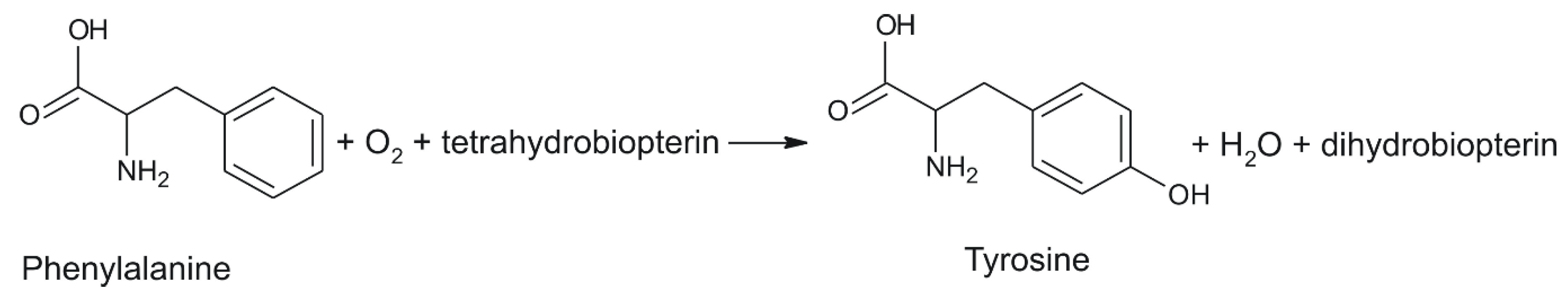 Ijms 22 07528 g001 550