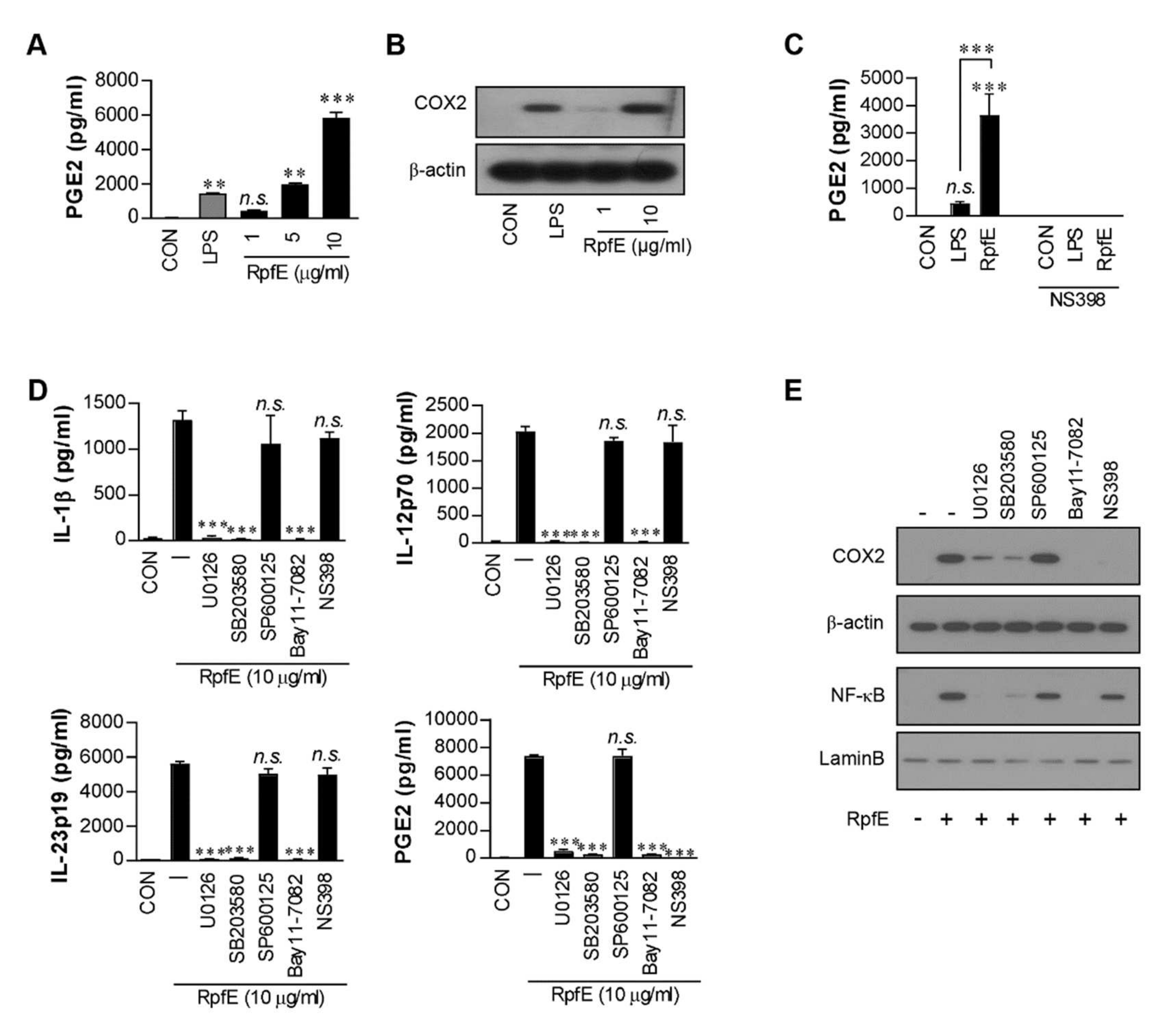 Ijms 22 07535 g001 Ijms 22 07535 g001