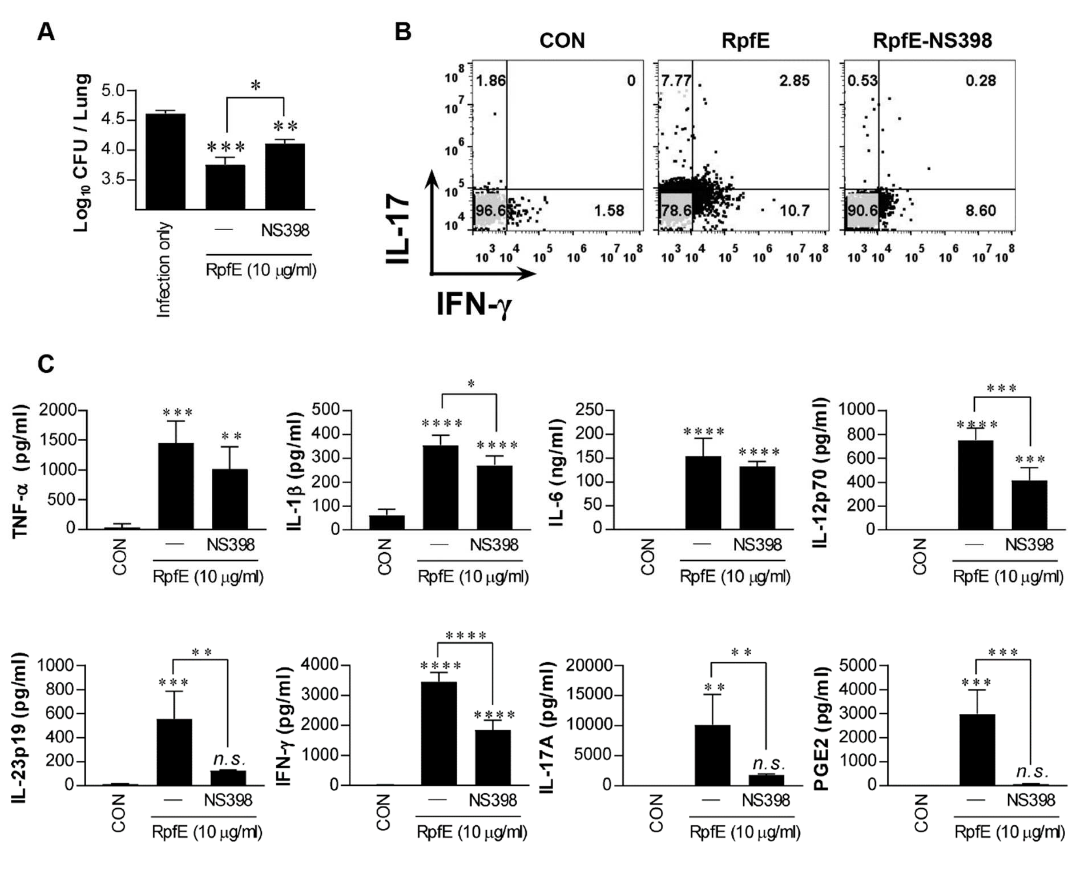 Ijms 22 07535 g003 Ijms 22 07535 g003
