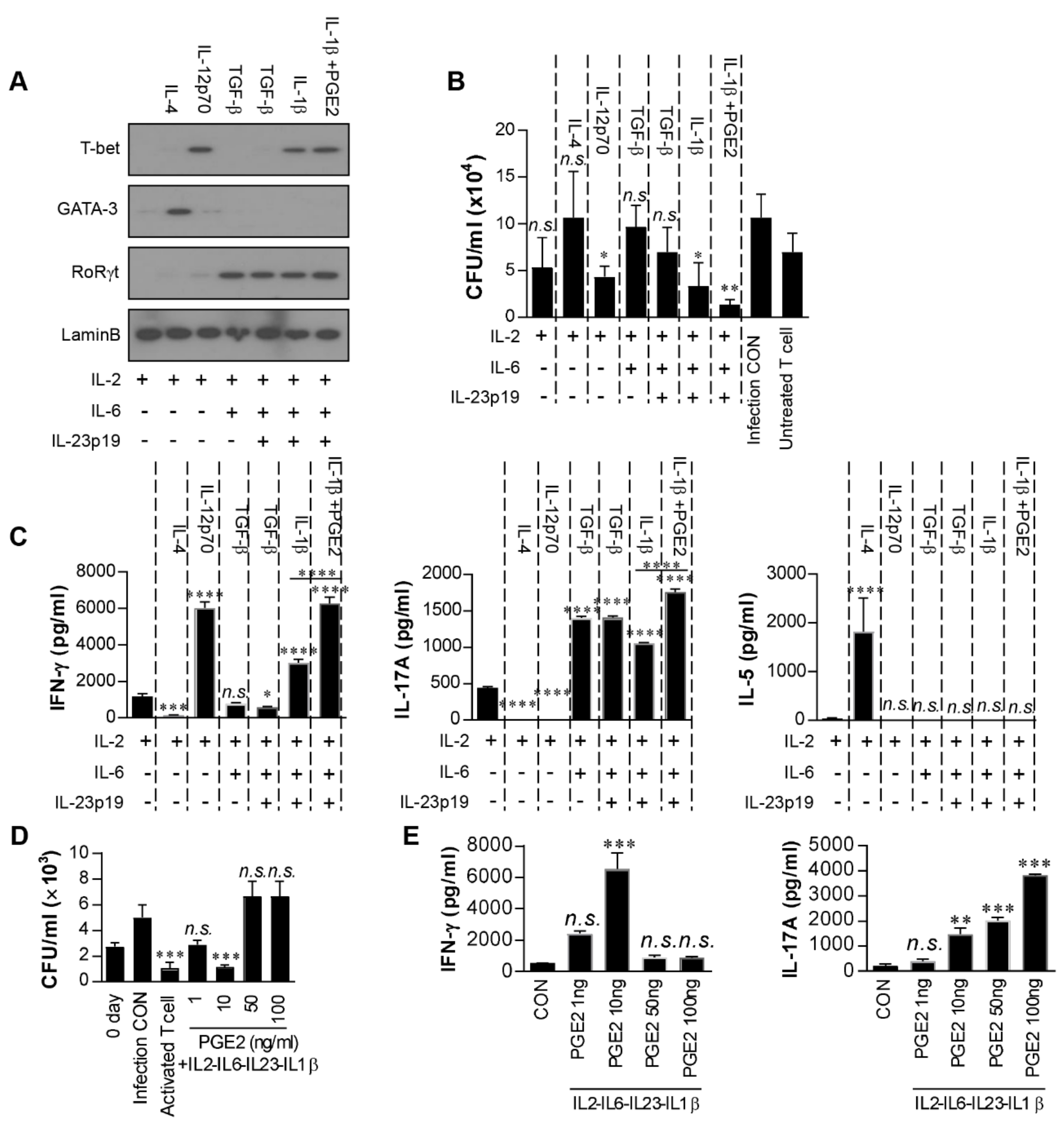 Ijms 22 07535 g004 Ijms 22 07535 g004