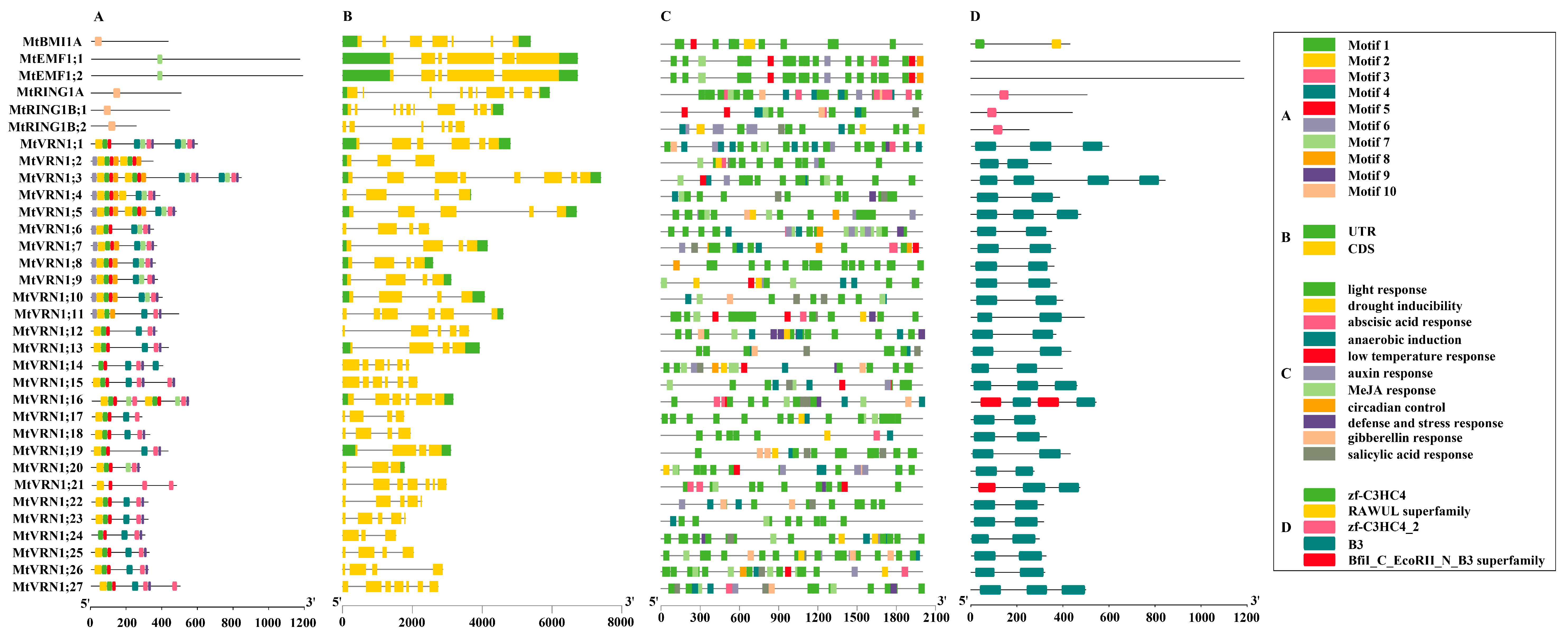 Ijms 22 07537 g001 Ijms 22 07537 g001