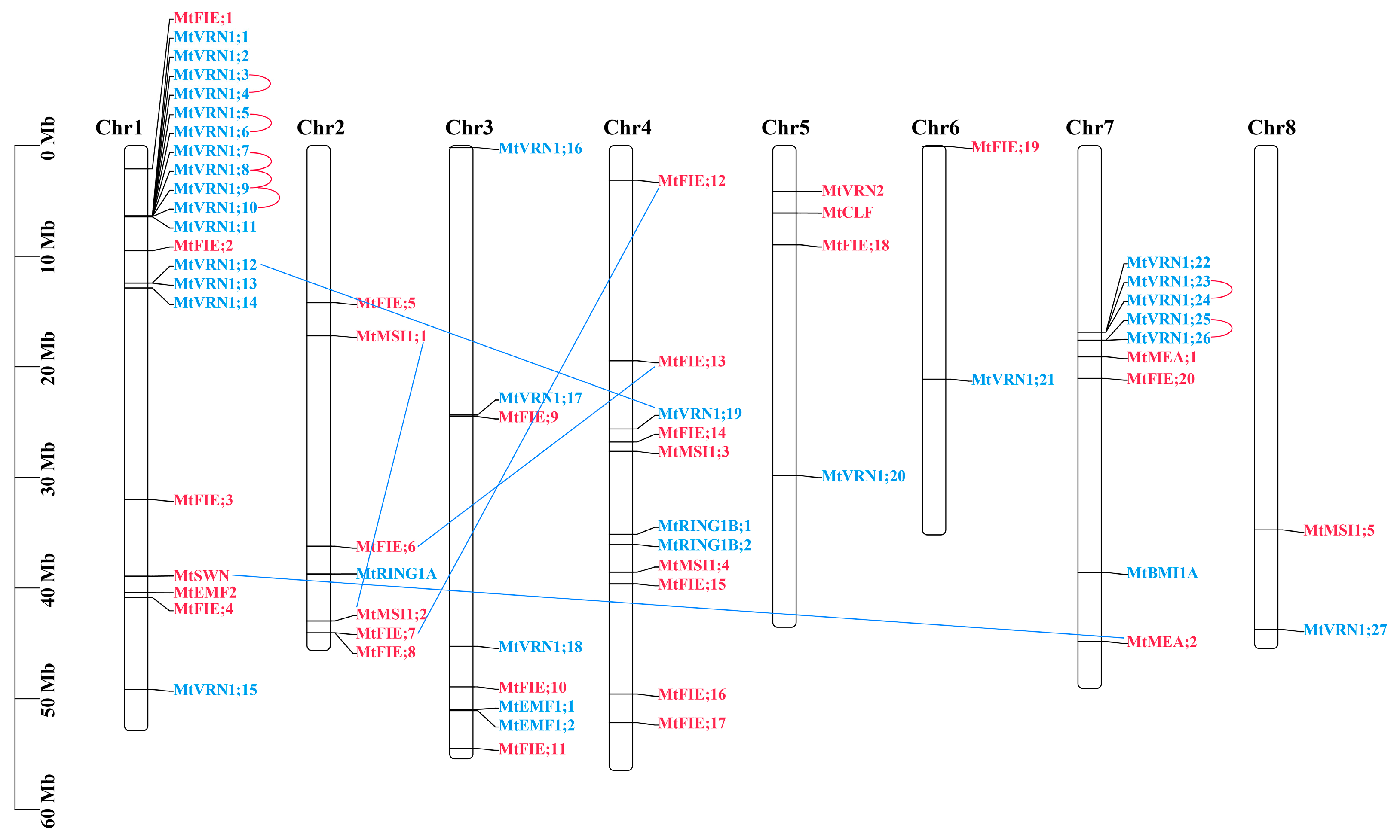 Ijms 22 07537 g003 Ijms 22 07537 g003
