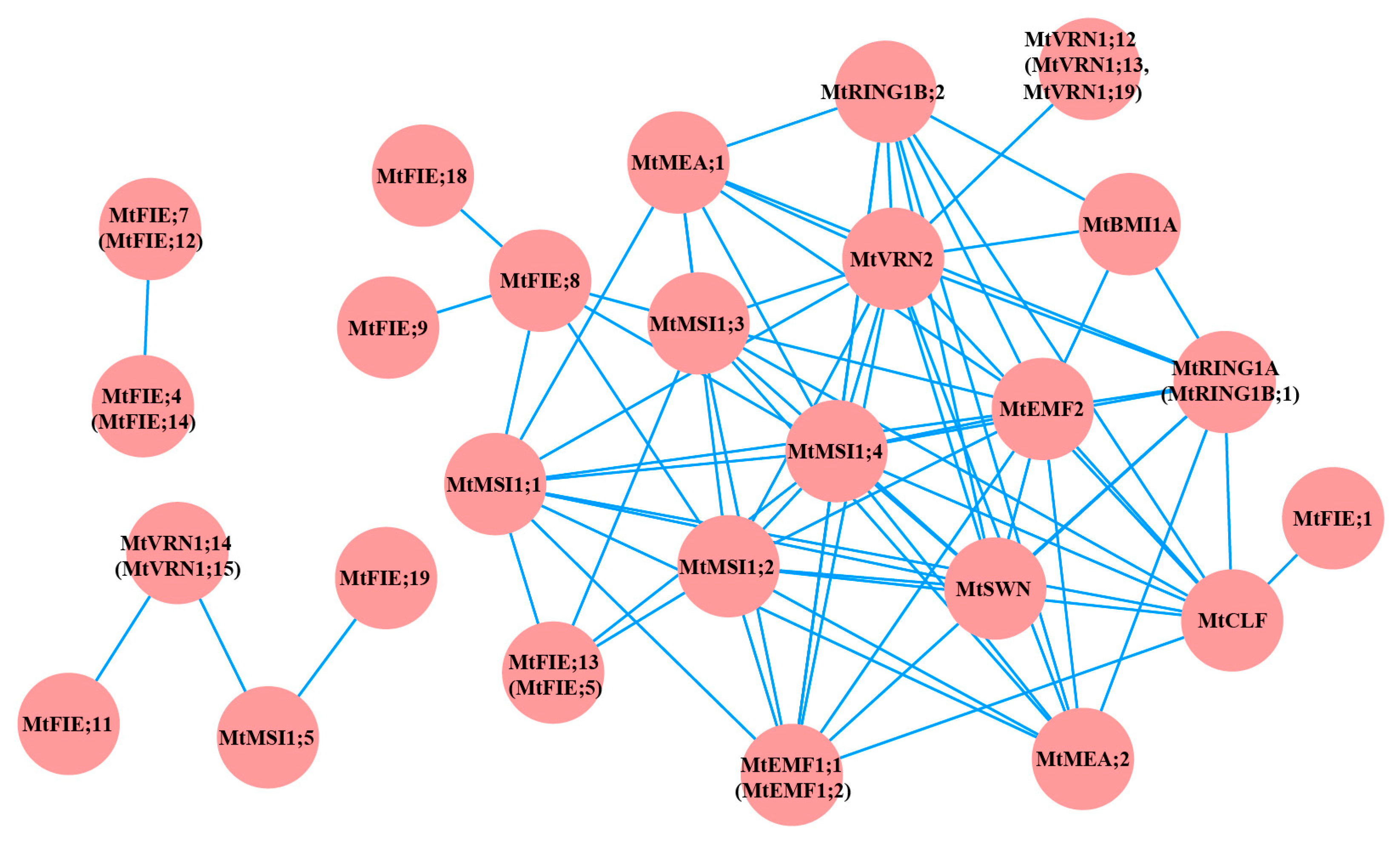 Ijms 22 07537 g004 Ijms 22 07537 g004