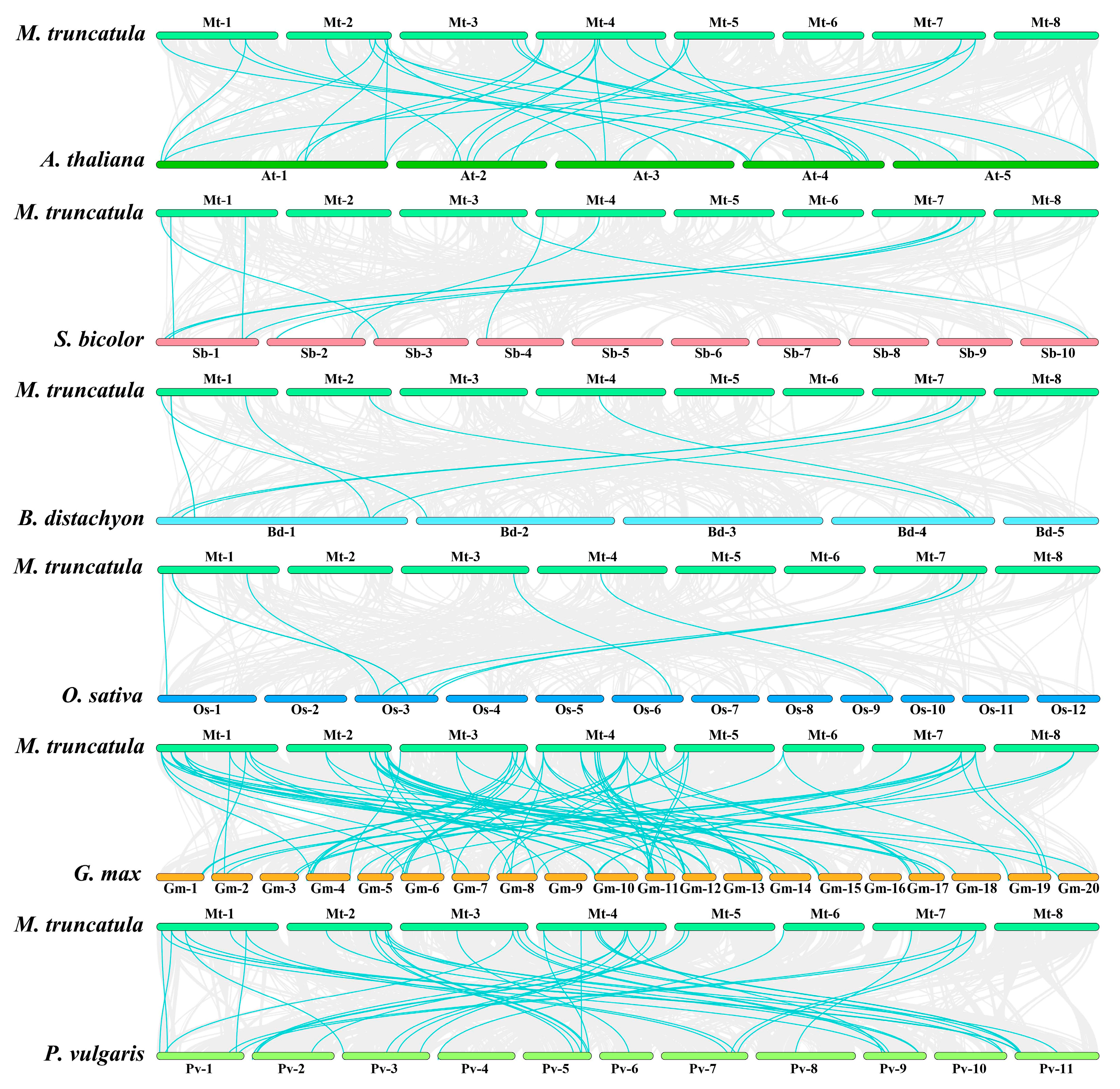 Ijms 22 07537 g006 Ijms 22 07537 g006