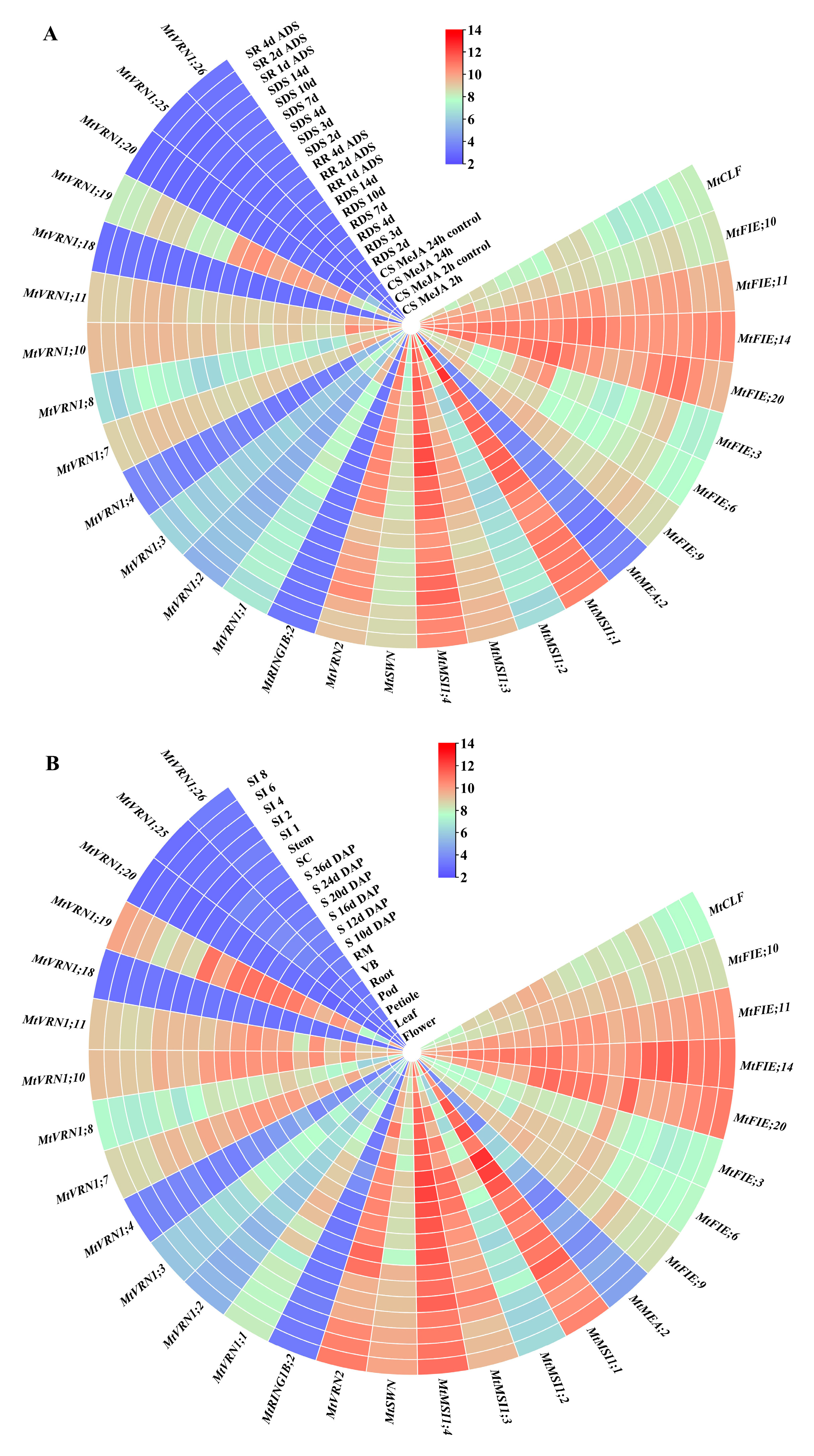 Ijms 22 07537 g007 Ijms 22 07537 g007