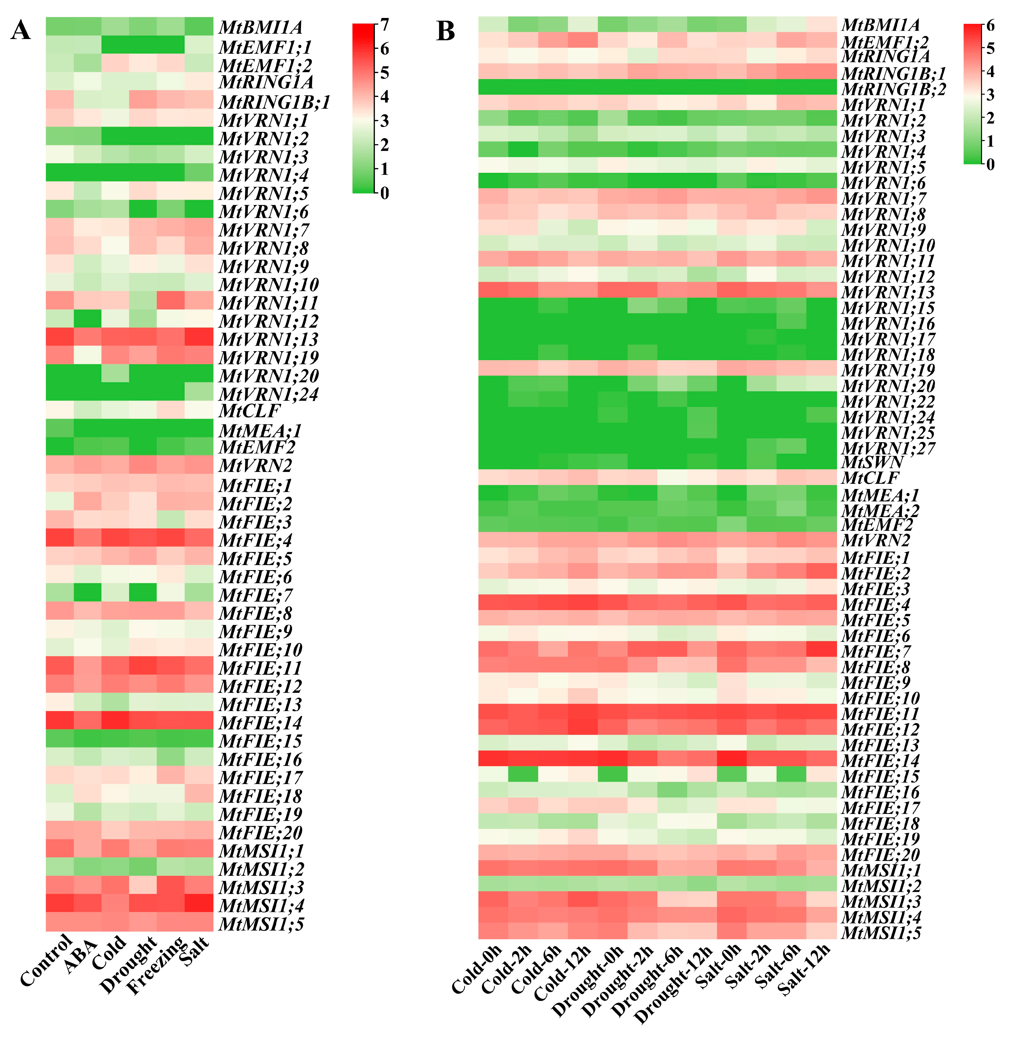 Ijms 22 07537 g008 Ijms 22 07537 g008