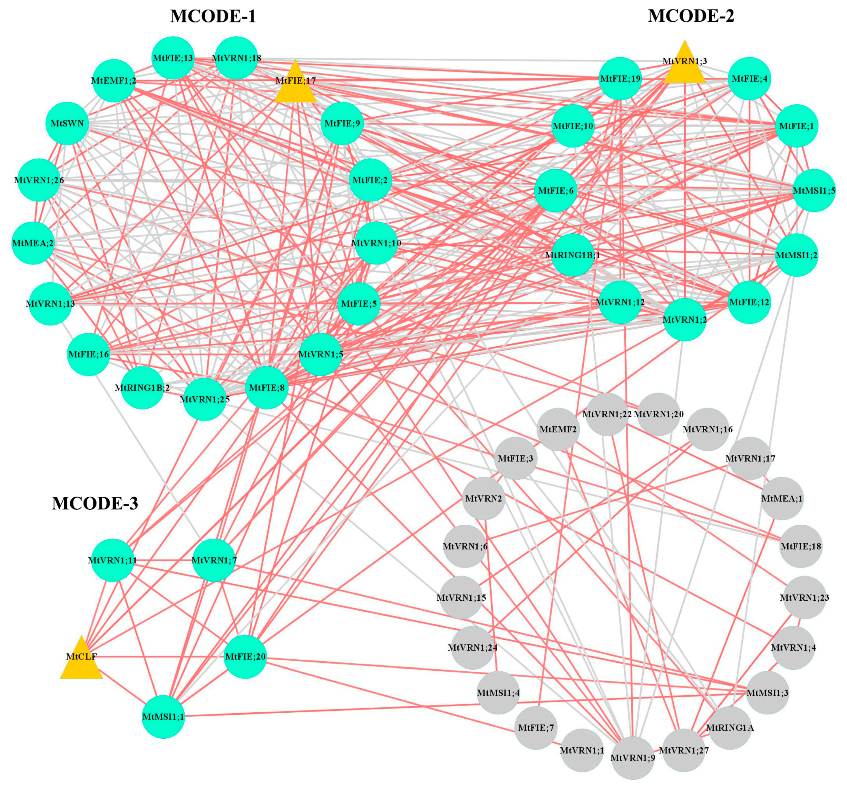 Ijms 22 07537 g010 Ijms 22 07537 g010