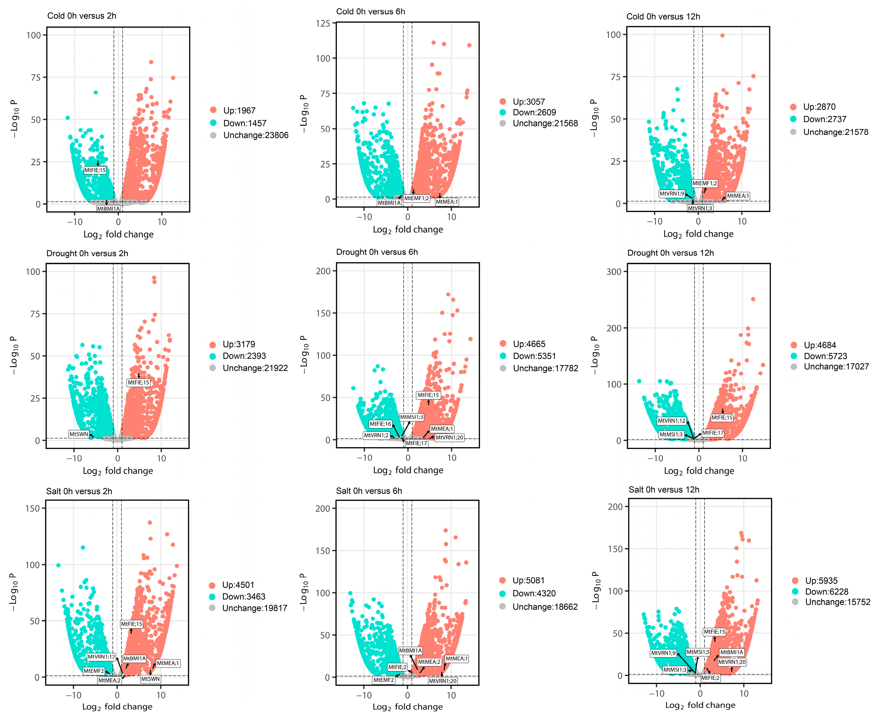 Ijms 22 07537 g014 Ijms 22 07537 g014