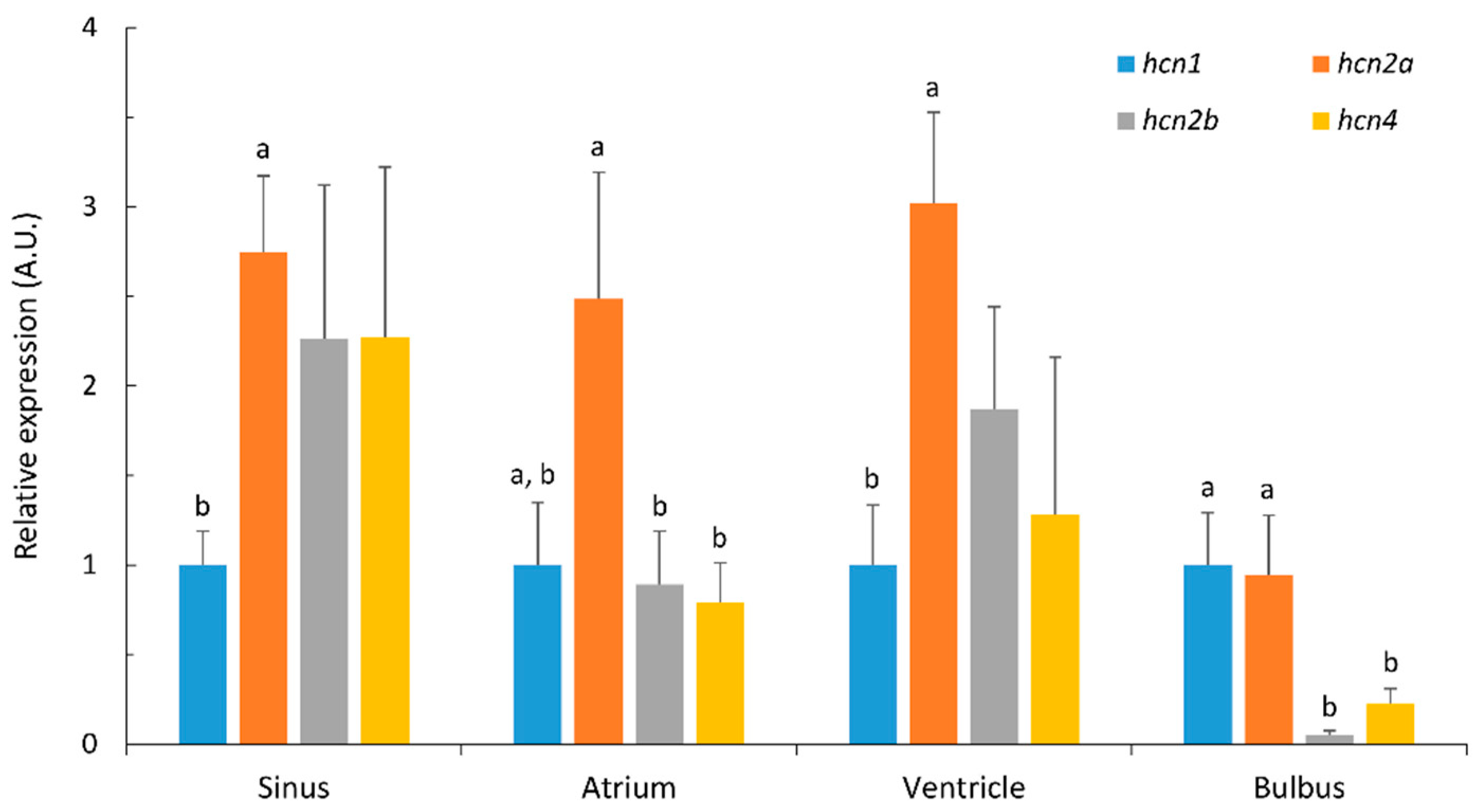 Ijms 22 07539 g002 Ijms 22 07539 g002