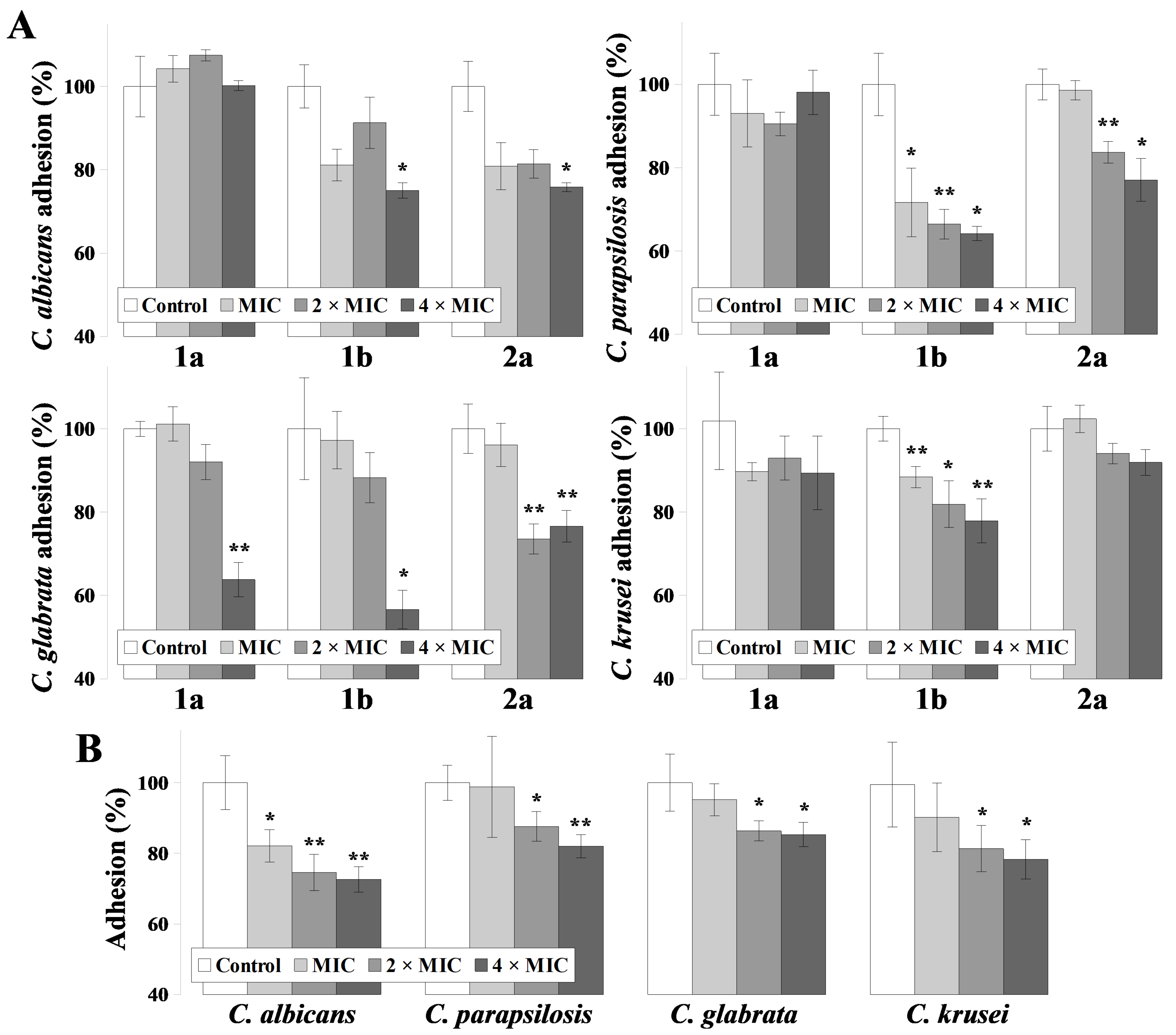 Ijms 22 07543 g001 Ijms 22 07543 g001