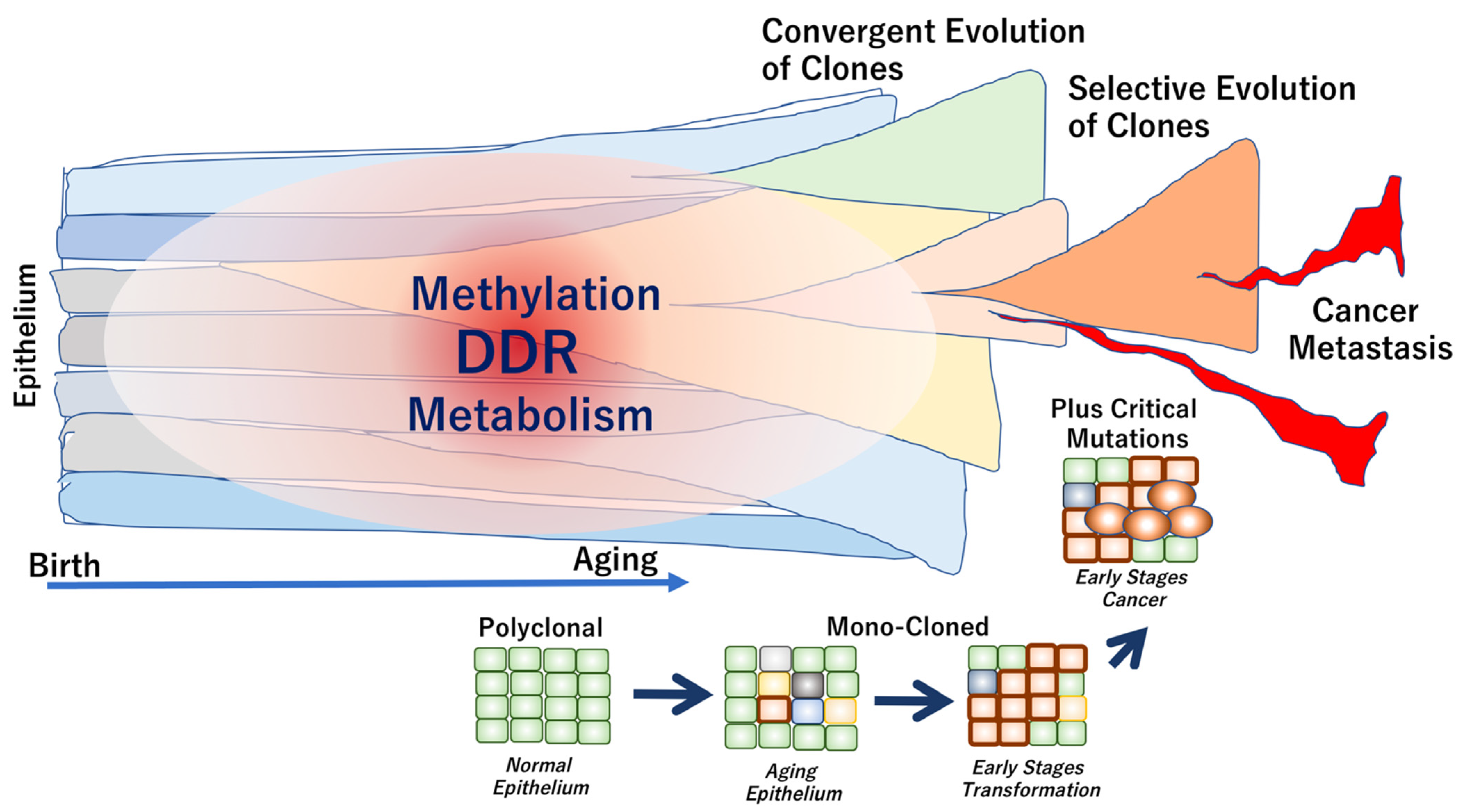 Ijms 22 07544 g002 550