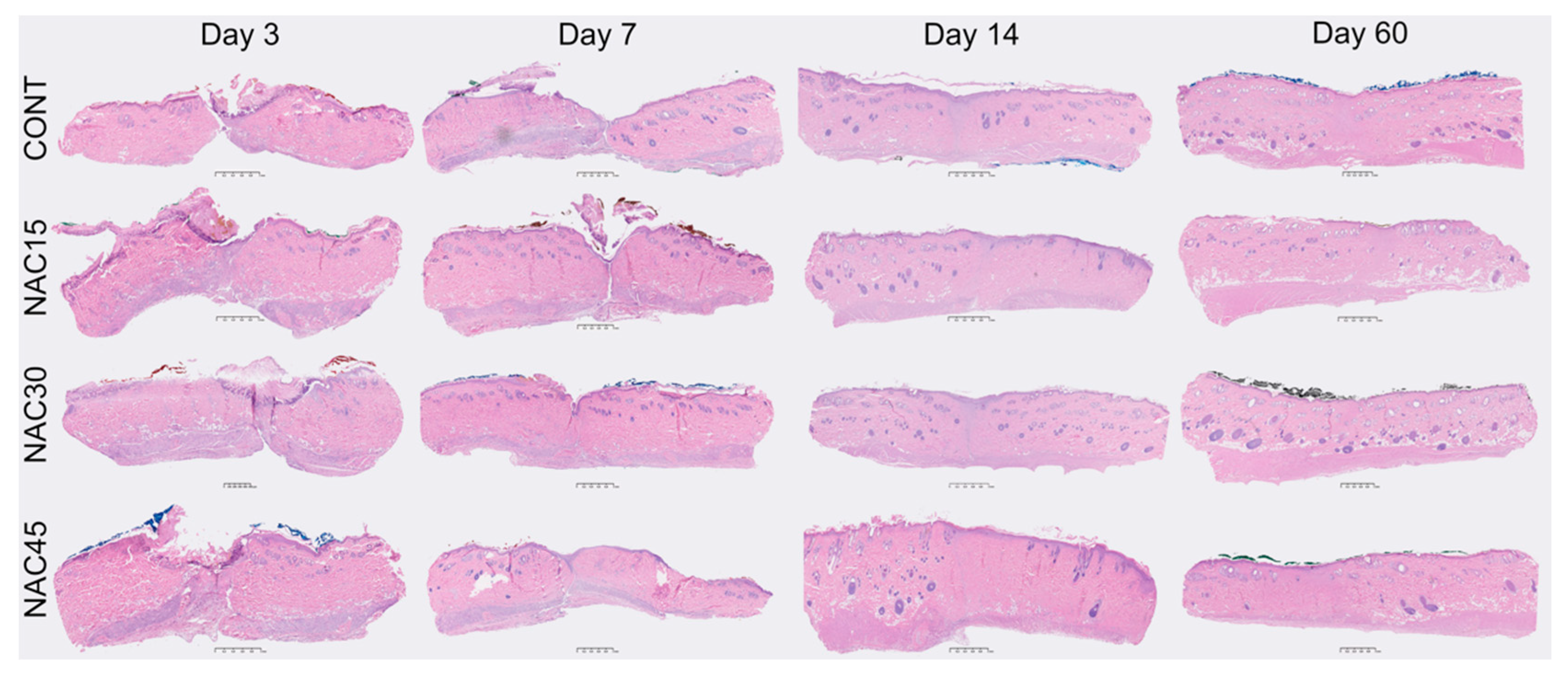 Ijms 22 07549 g004 550