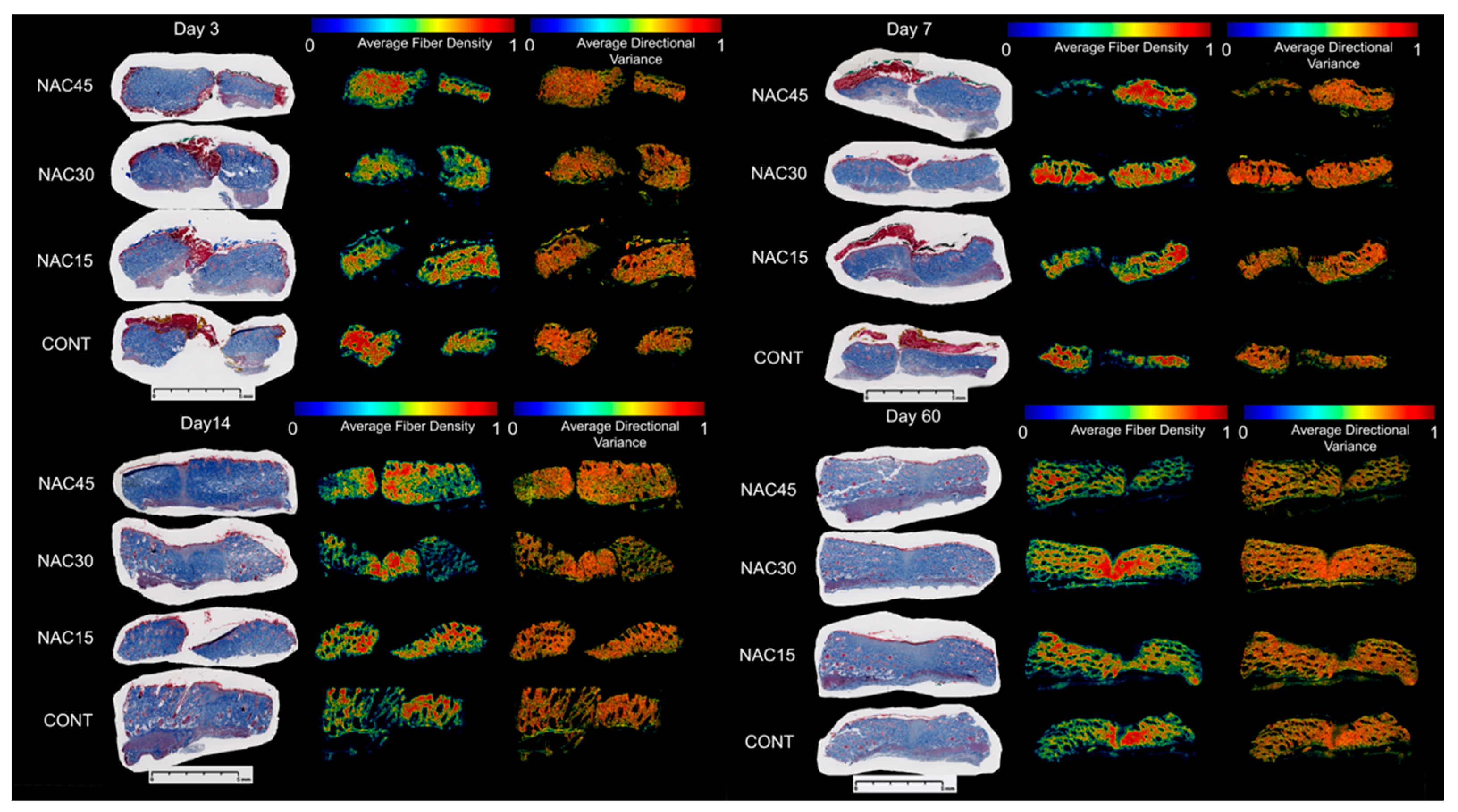 Ijms 22 07549 g007 550