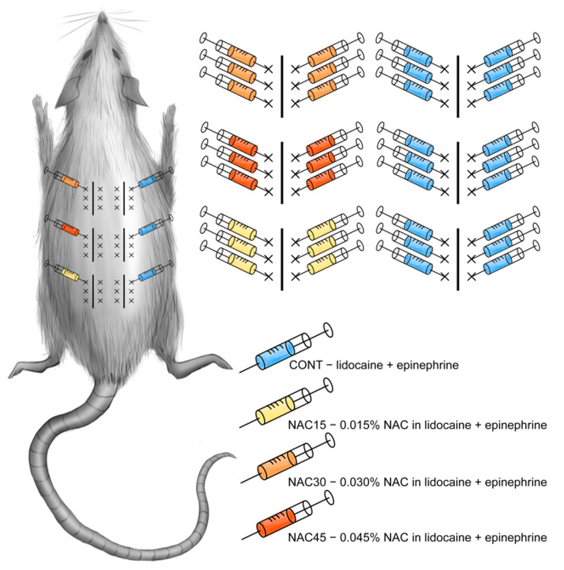 Ijms 22 07549 g008 550