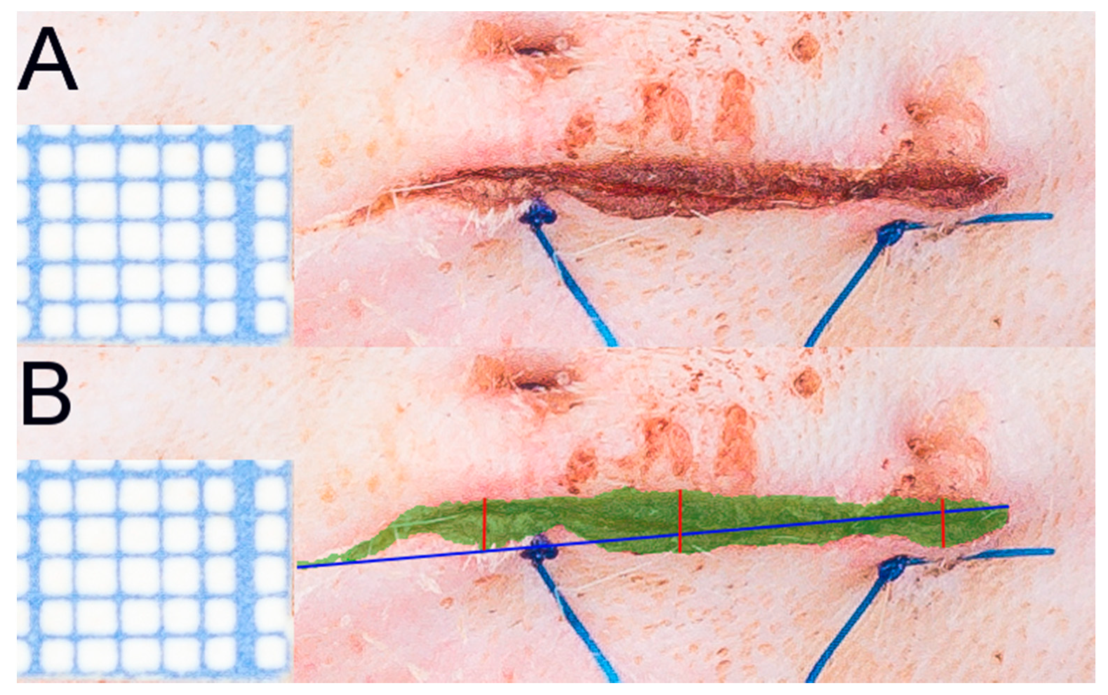 Ijms 22 07549 g009 550