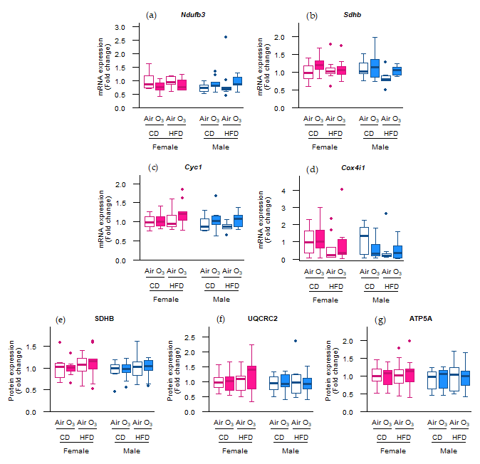 Ijms 22 07551 g004 Ijms 22 07551 g004