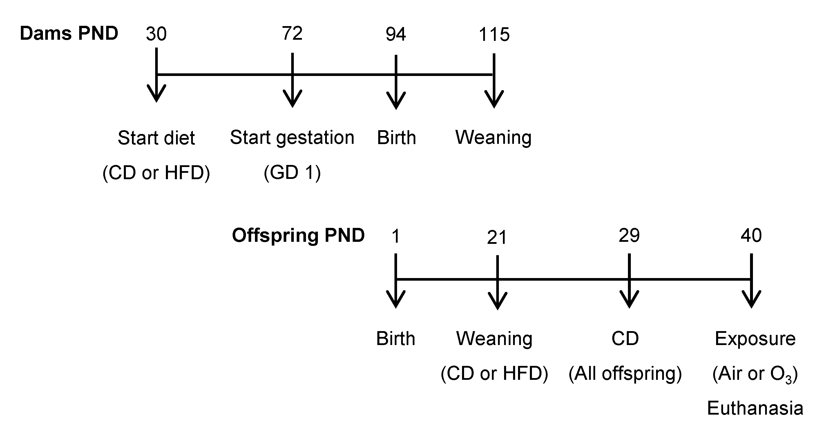 Ijms 22 07551 g007 Ijms 22 07551 g007