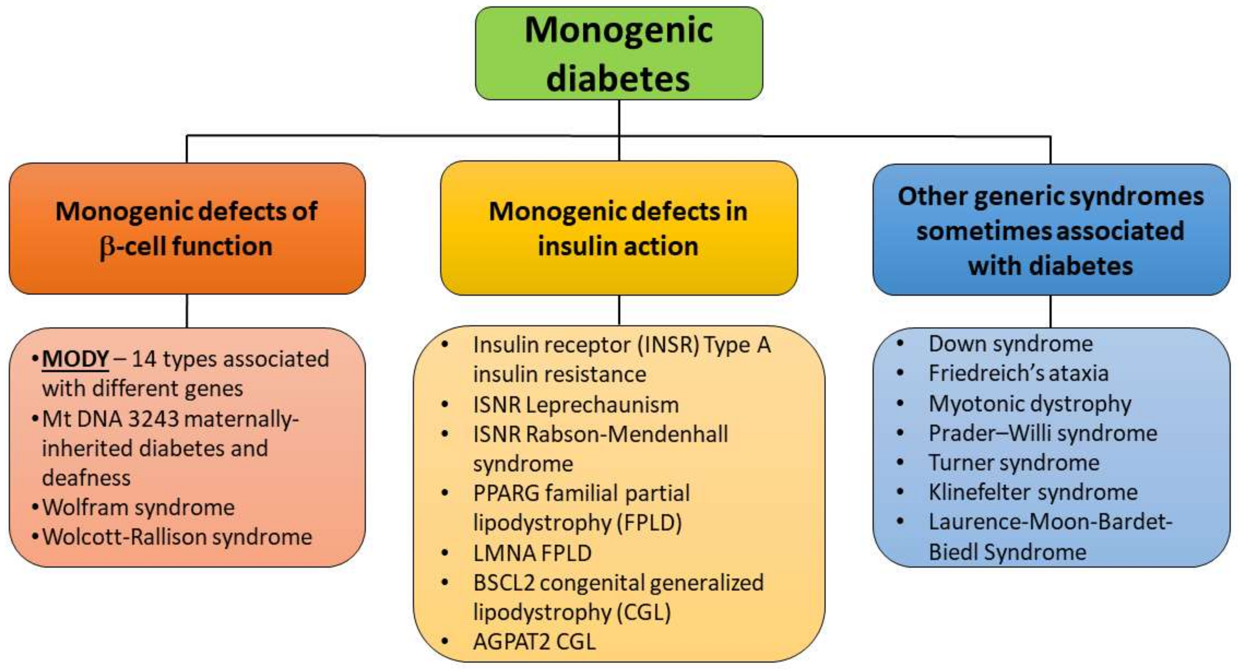 mody diabetes