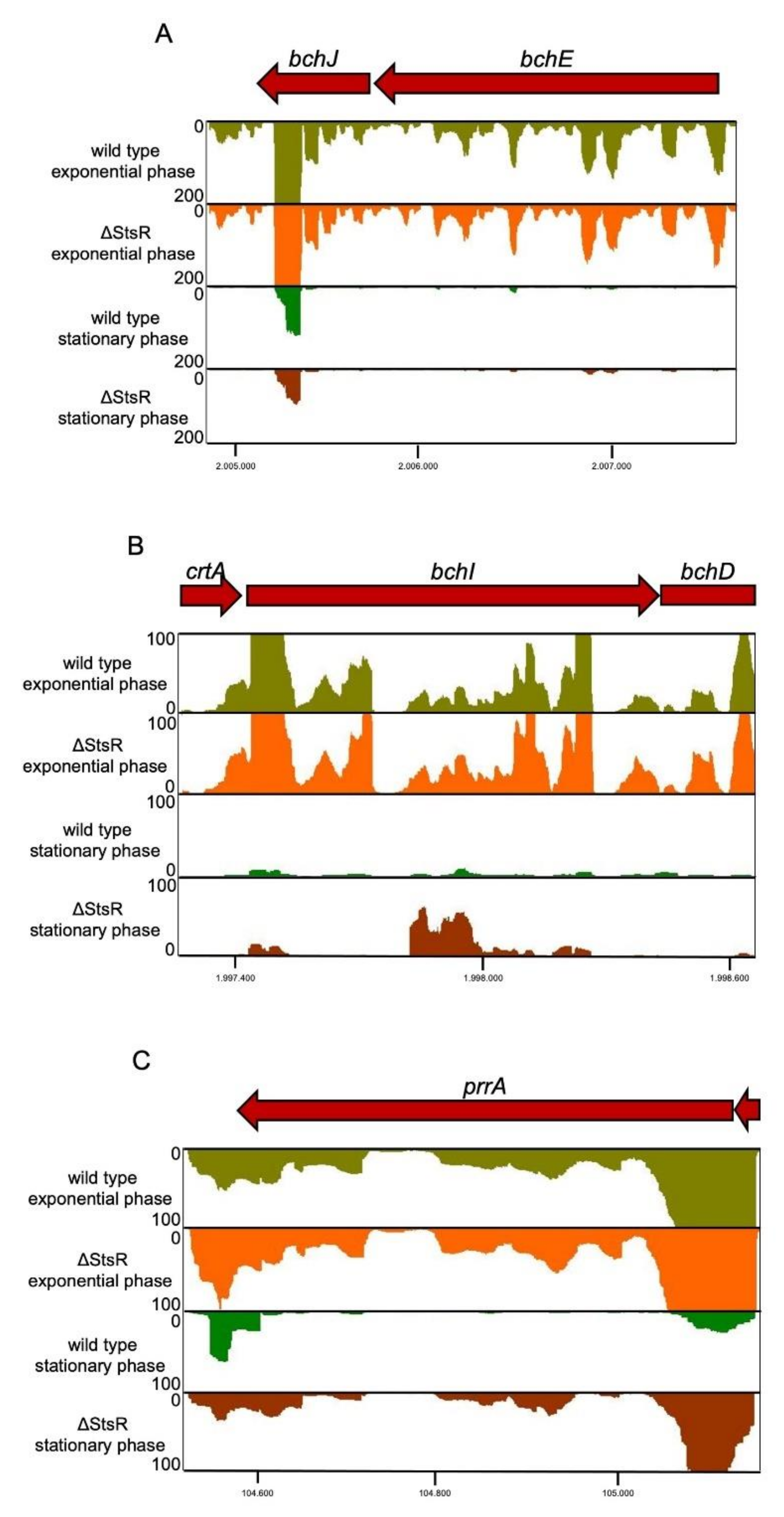 Ijms 22 07557 g002 Ijms 22 07557 g002