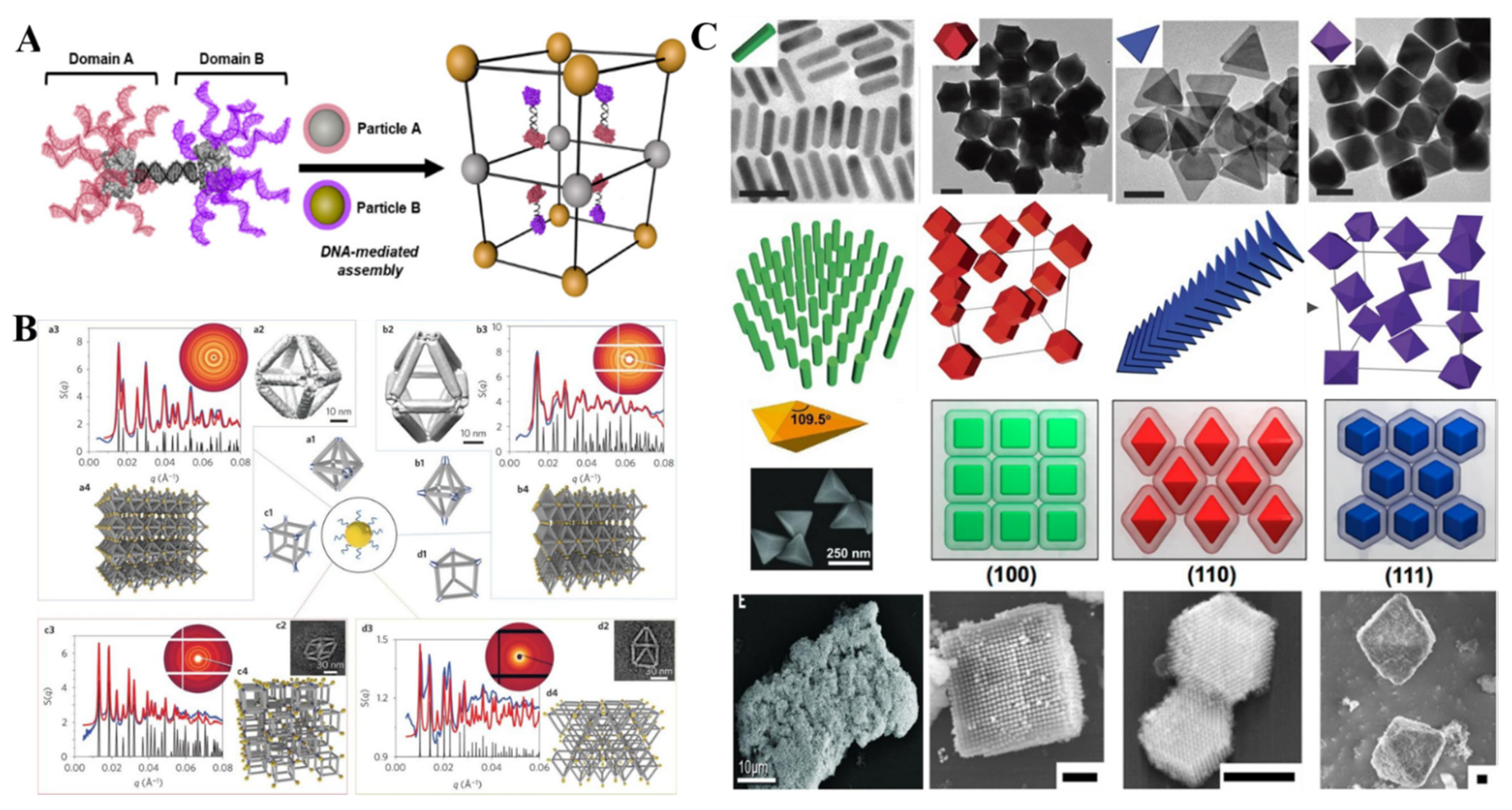 Ijms 22 07558 g001 550