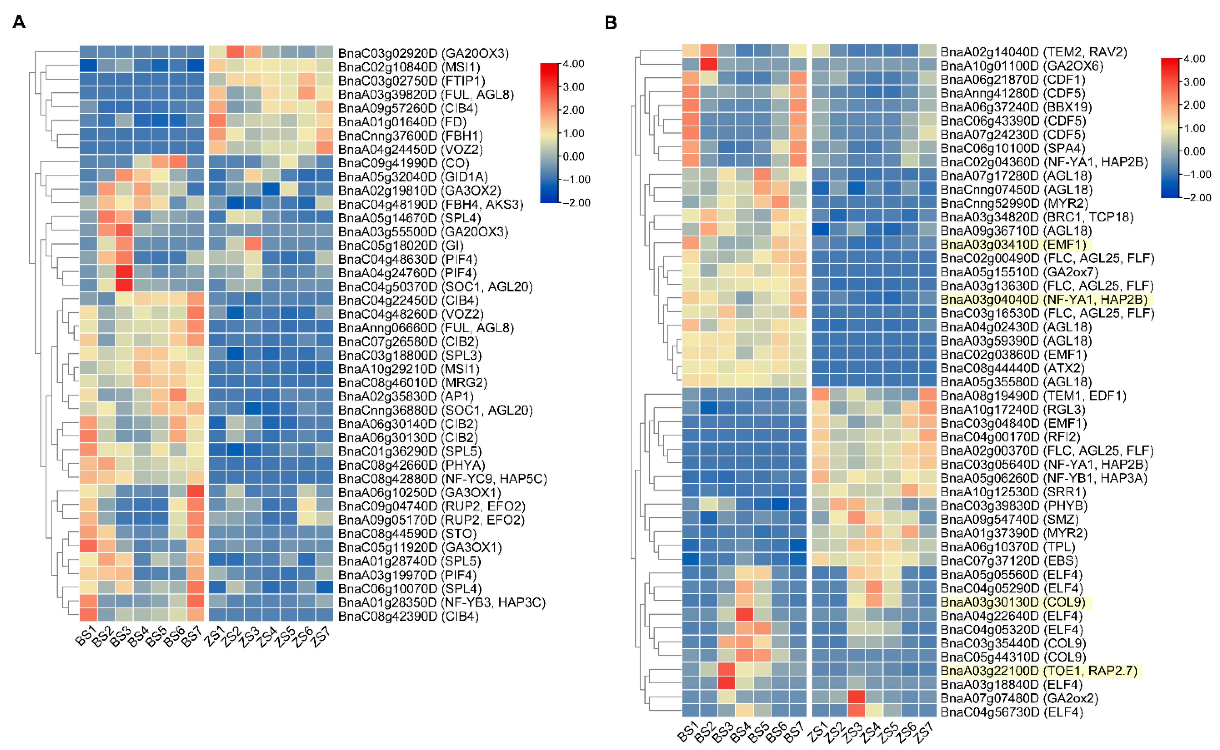 Ijms 22 07559 g005 550