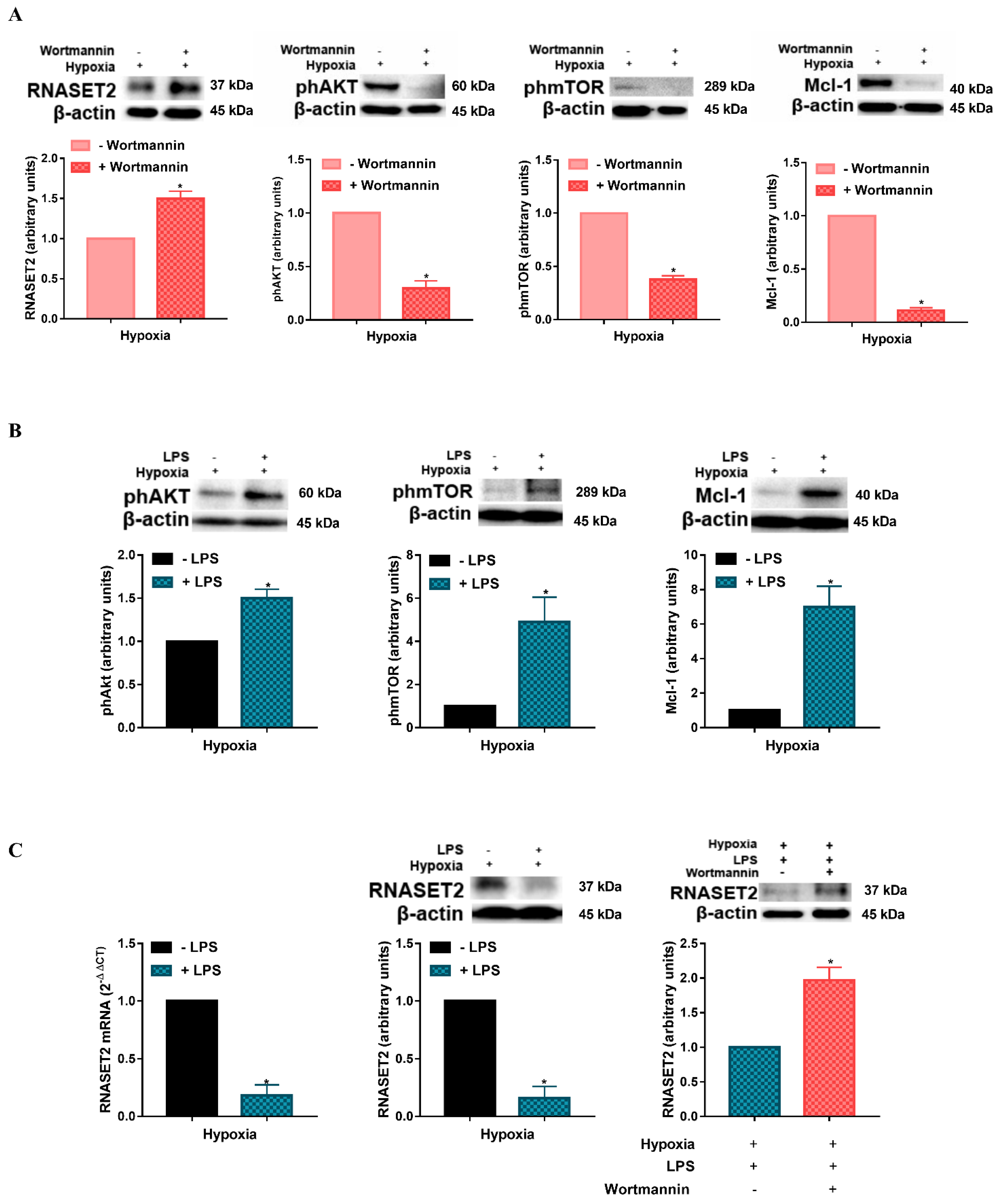 Ijms 22 07564 g002 550