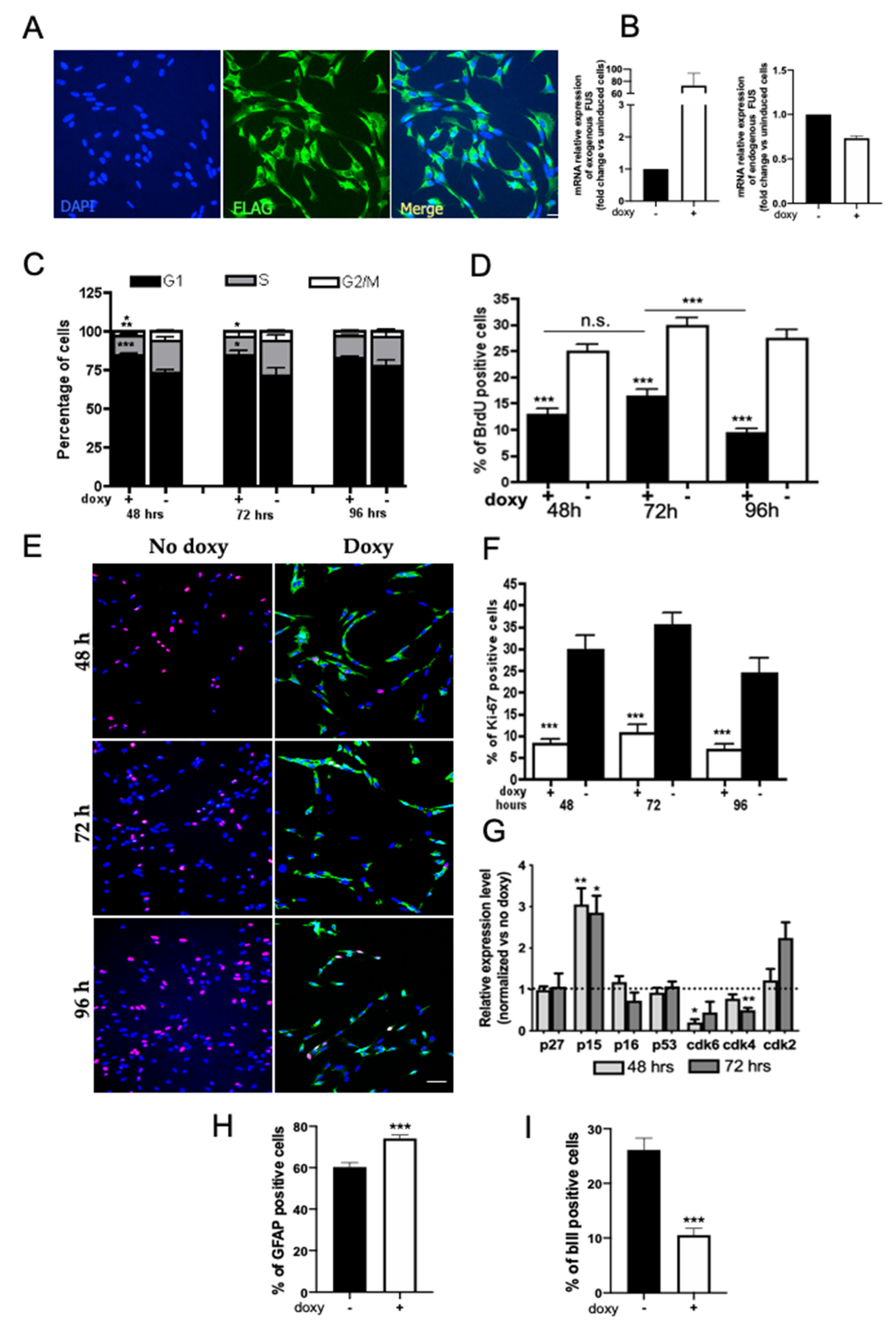 Ijms 22 07566 g005 Ijms 22 07566 g005