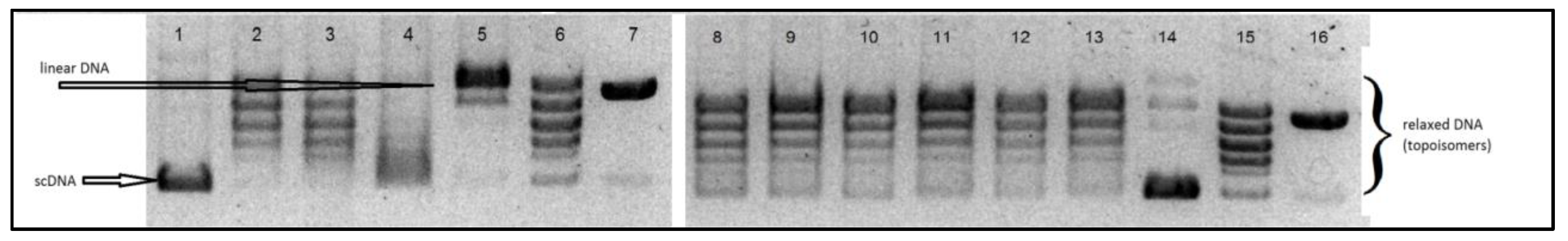 Ijms 22 07568 g009 550