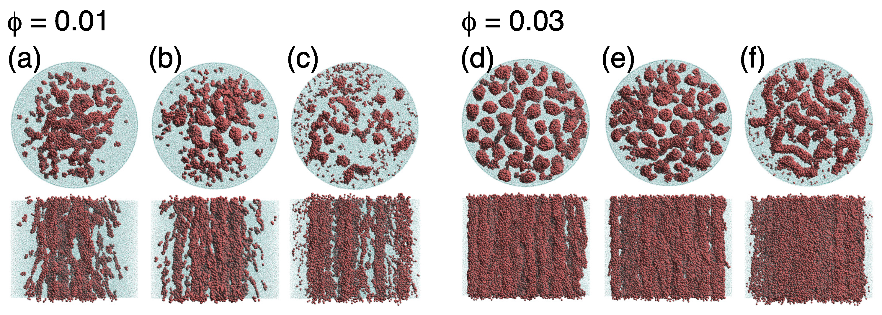 Ijms 22 07573 g004 Ijms 22 07573 g004