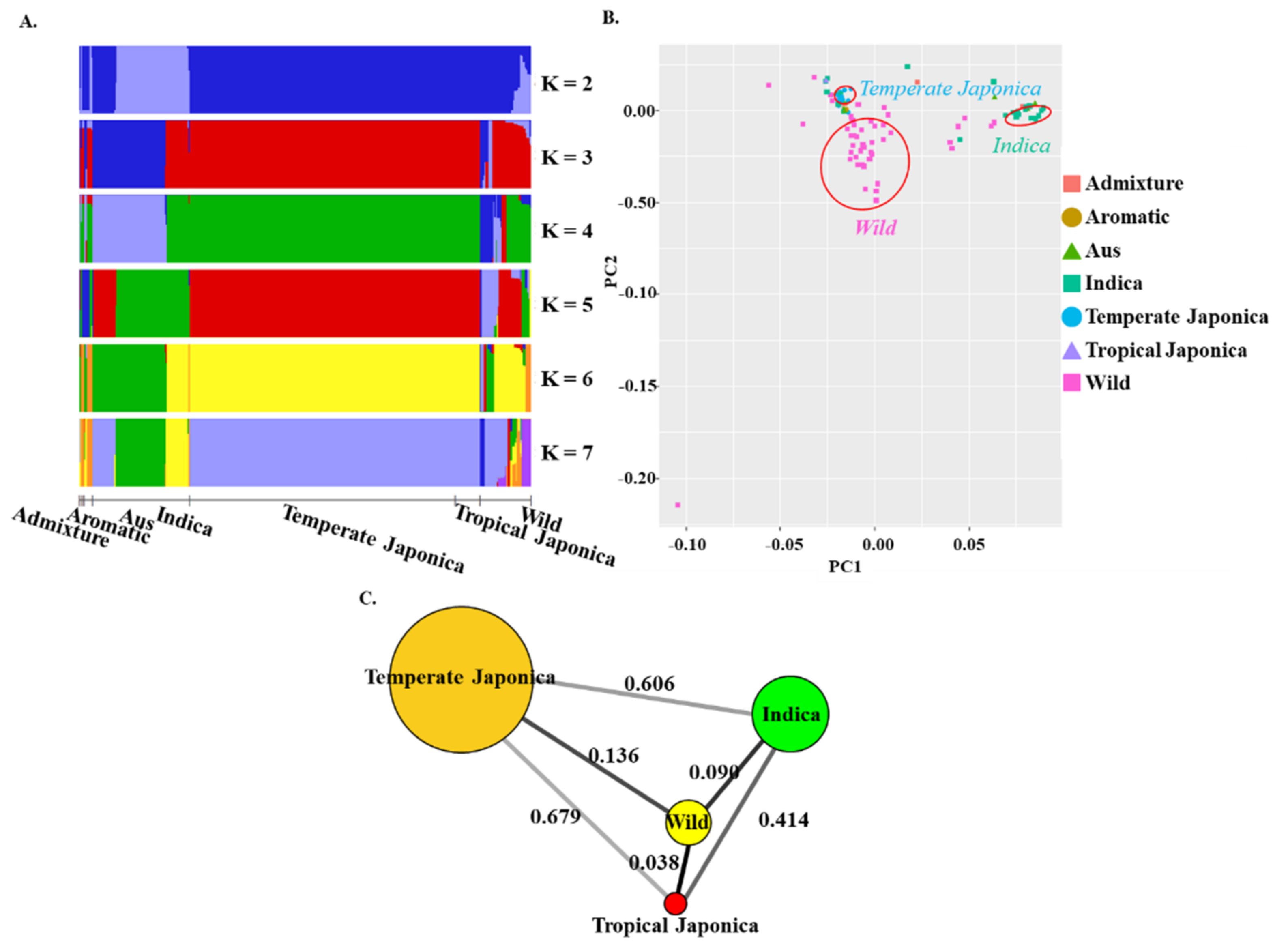 Ijms 22 07578 g001 550