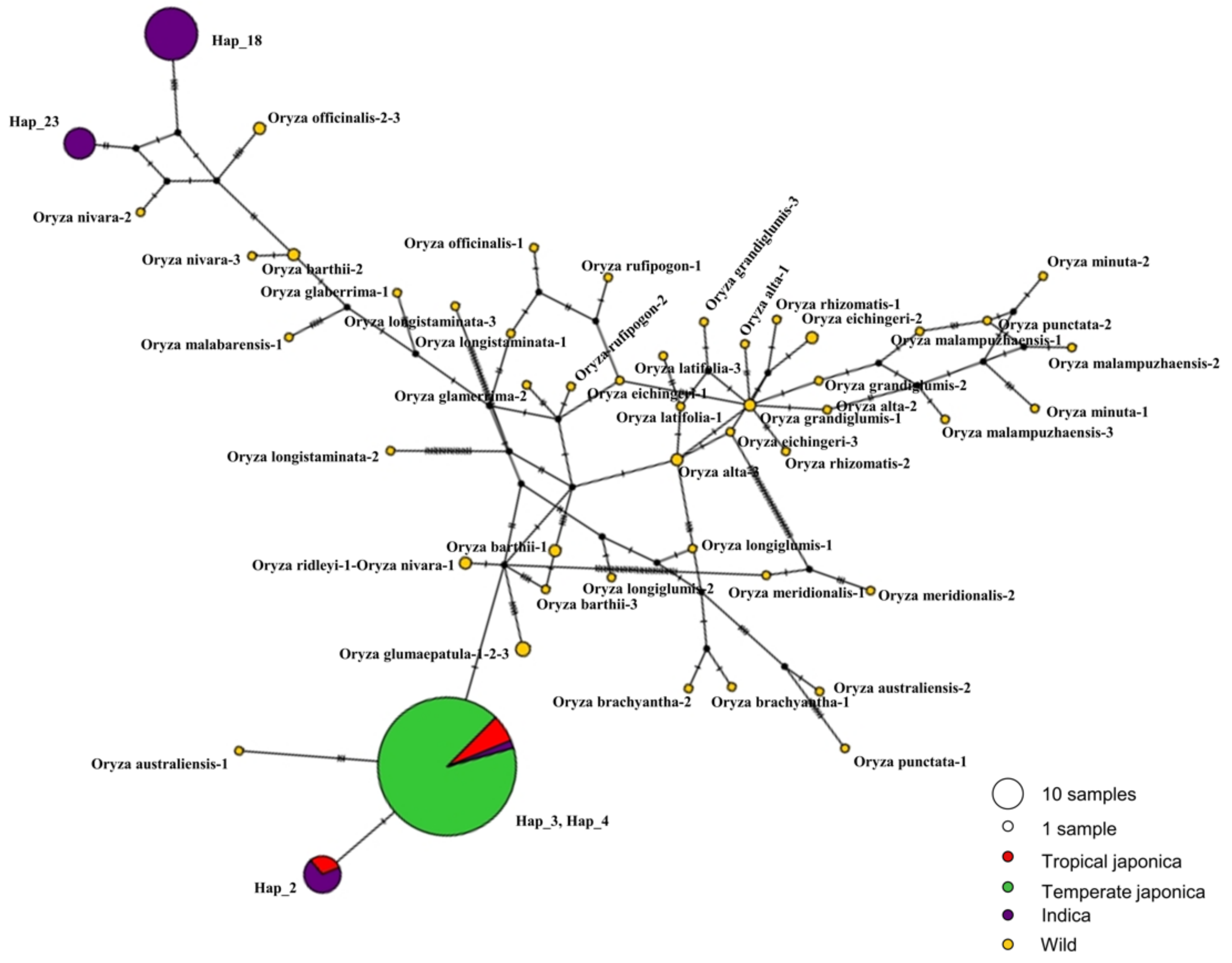 Ijms 22 07578 g005 550