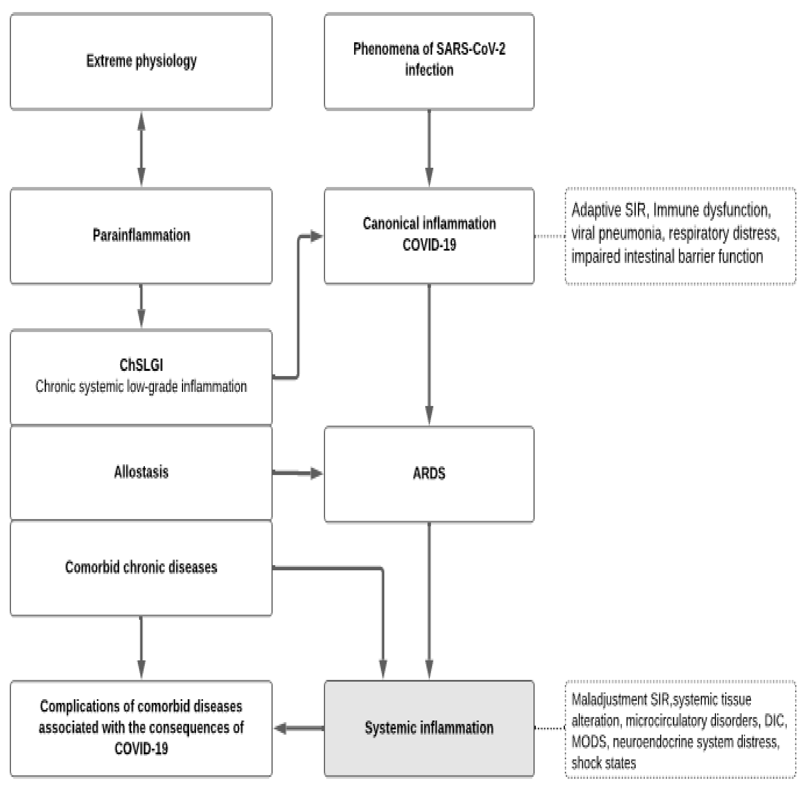 Ijms 22 07582 g003 Ijms 22 07582 g003