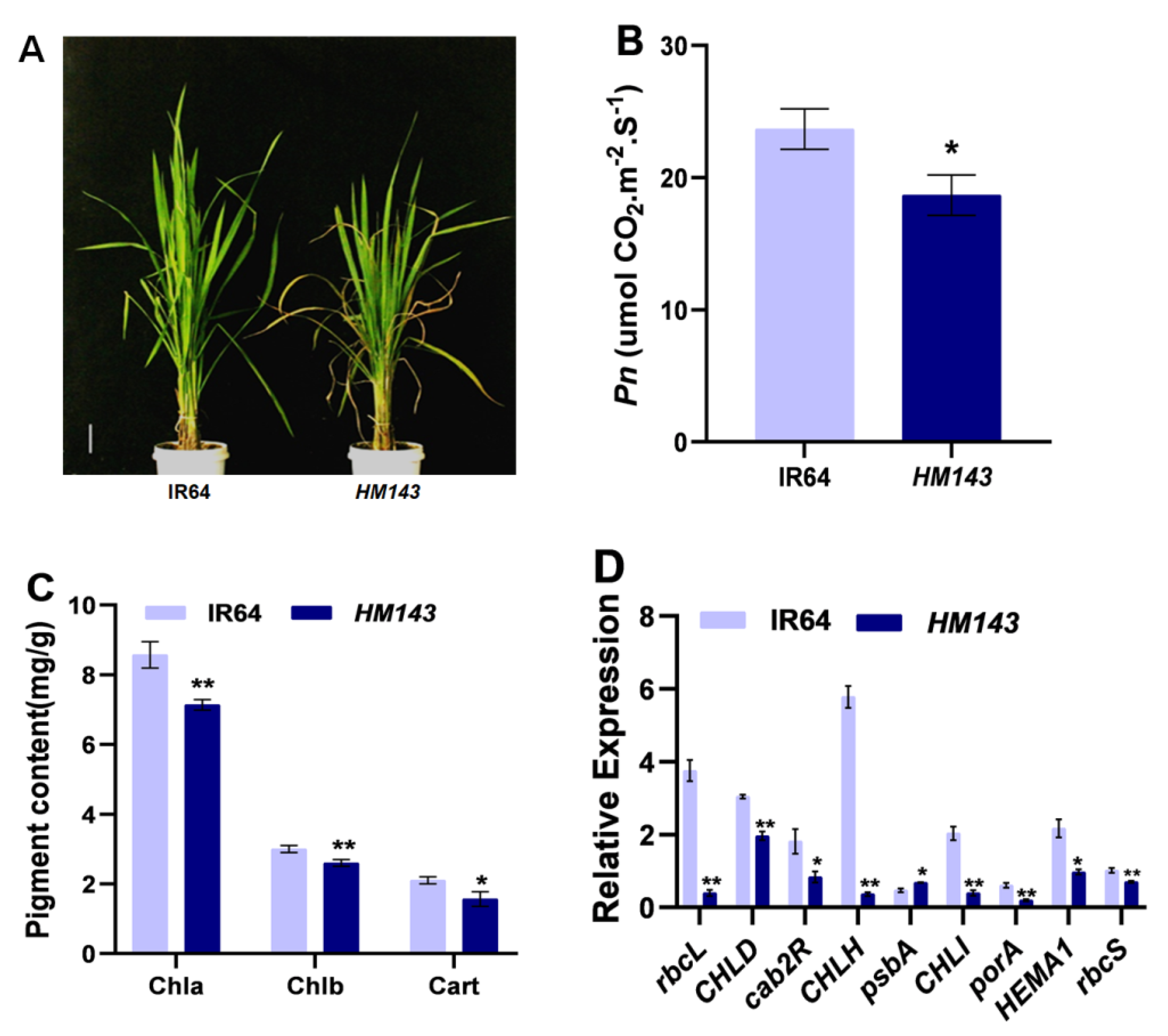 Ijms 22 07585 g002 550