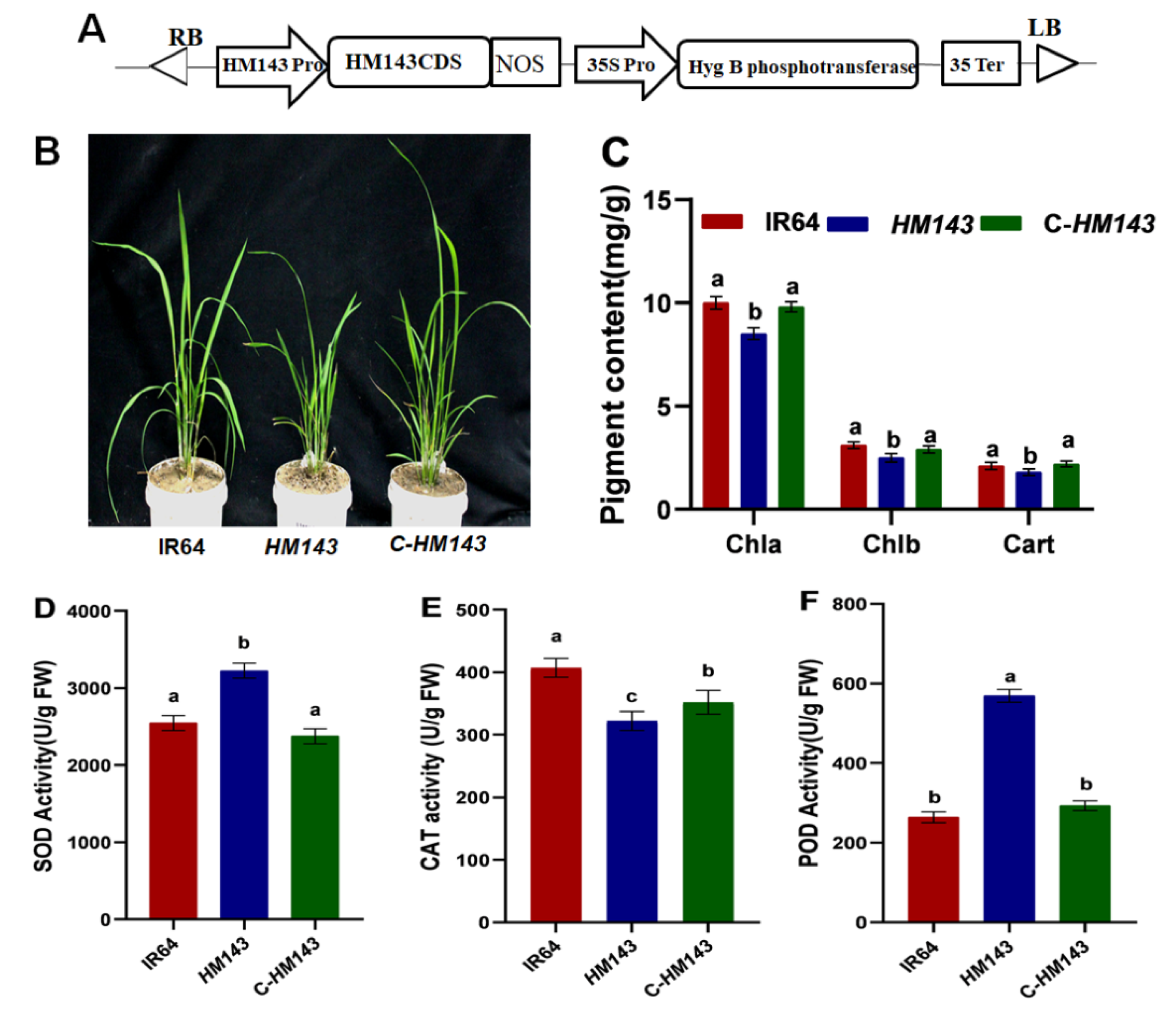 Ijms 22 07585 g004 550