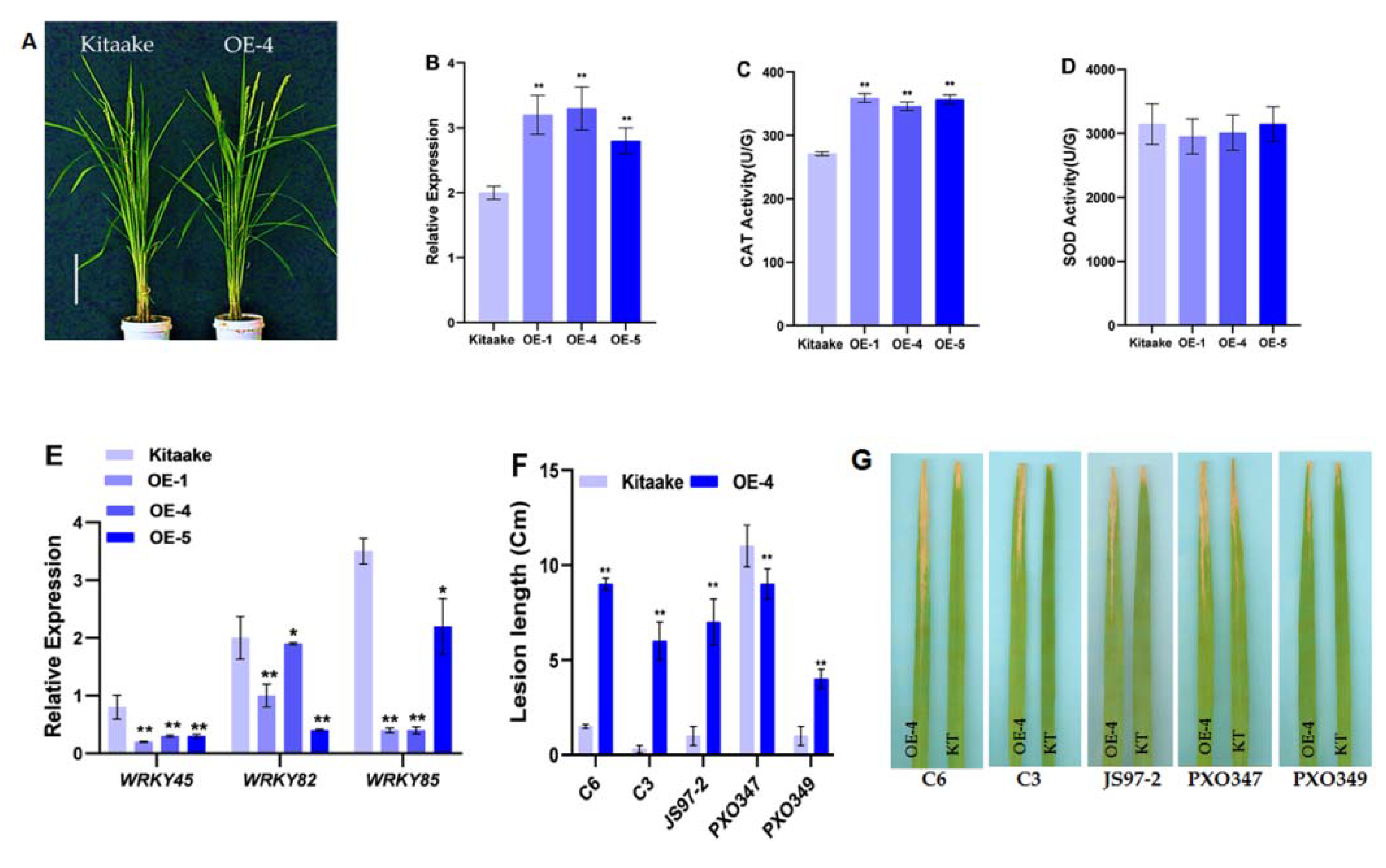 Ijms 22 07585 g005 550