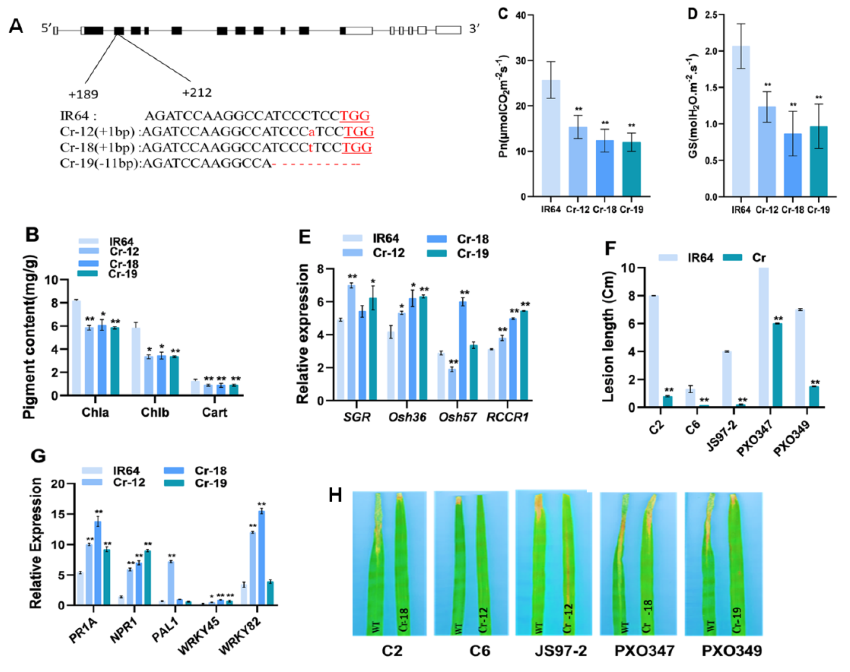 Ijms 22 07585 g006 550