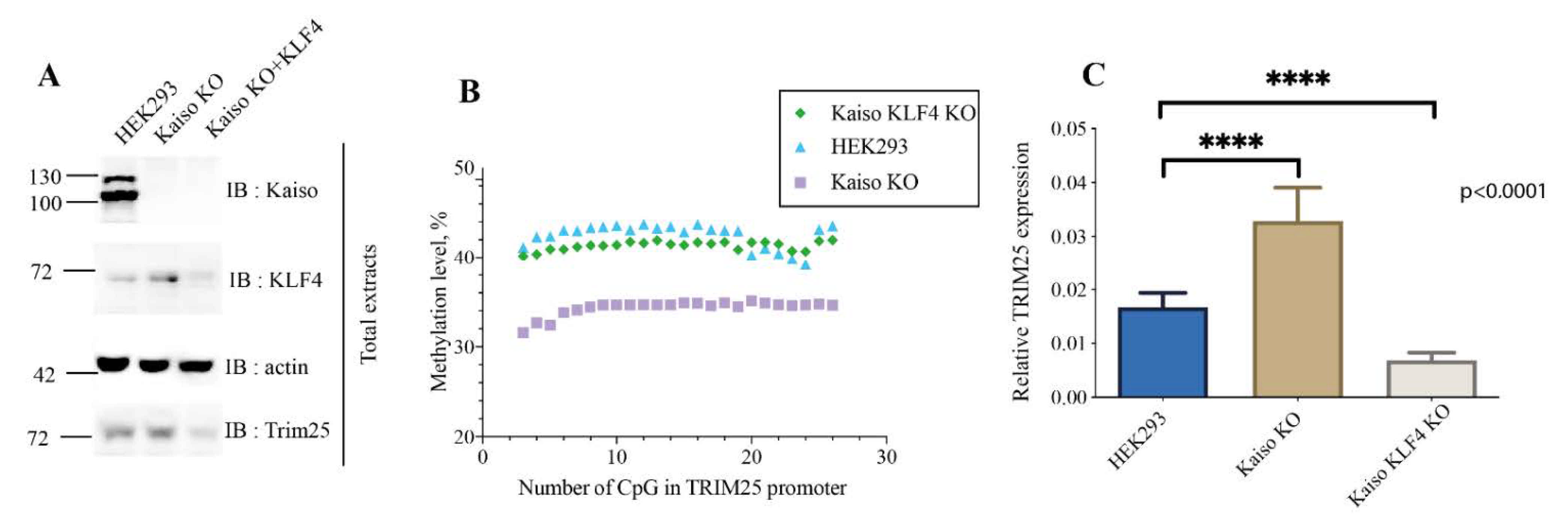 Ijms 22 07587 g005 550