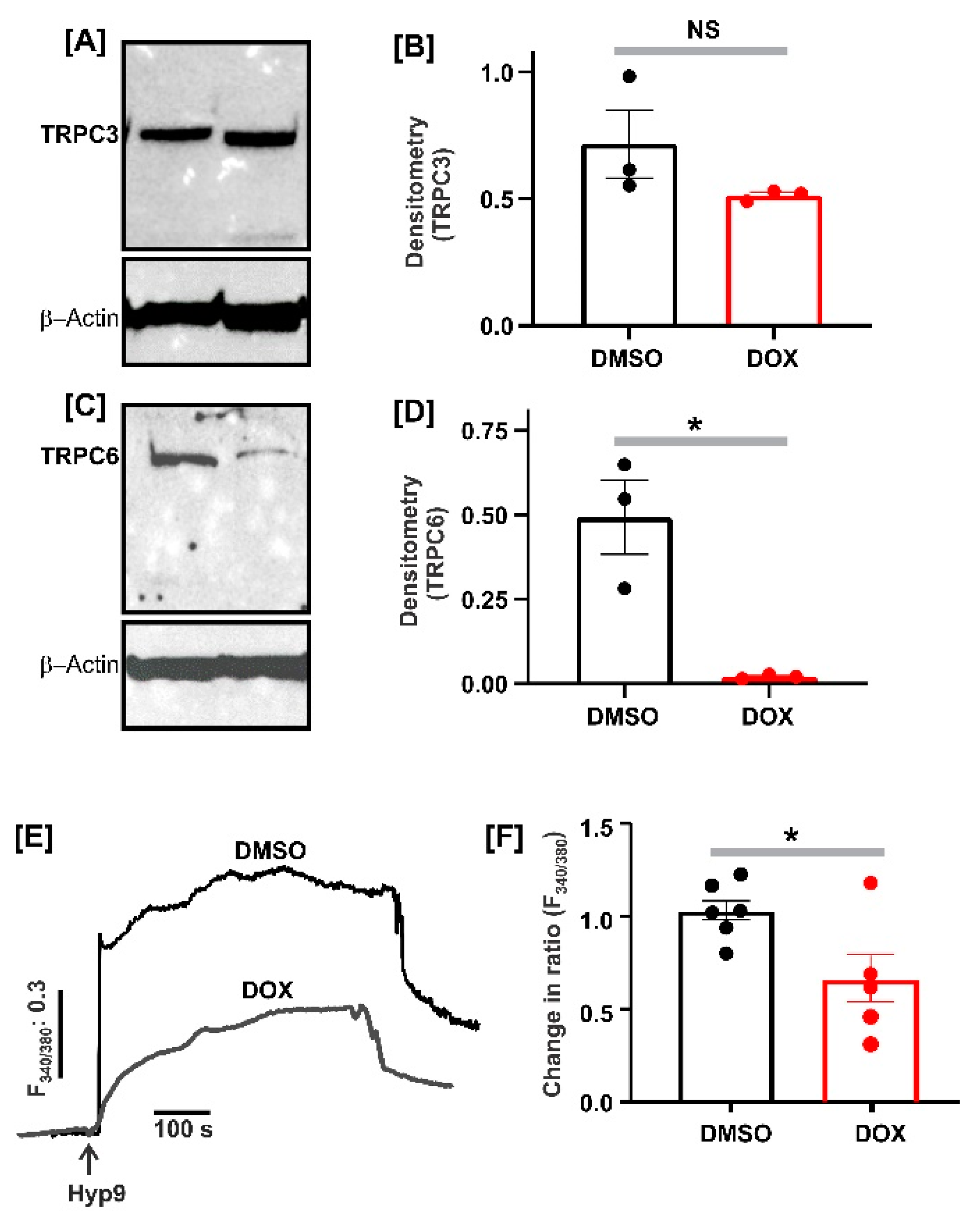 Ijms 22 07589 g002 Ijms 22 07589 g002