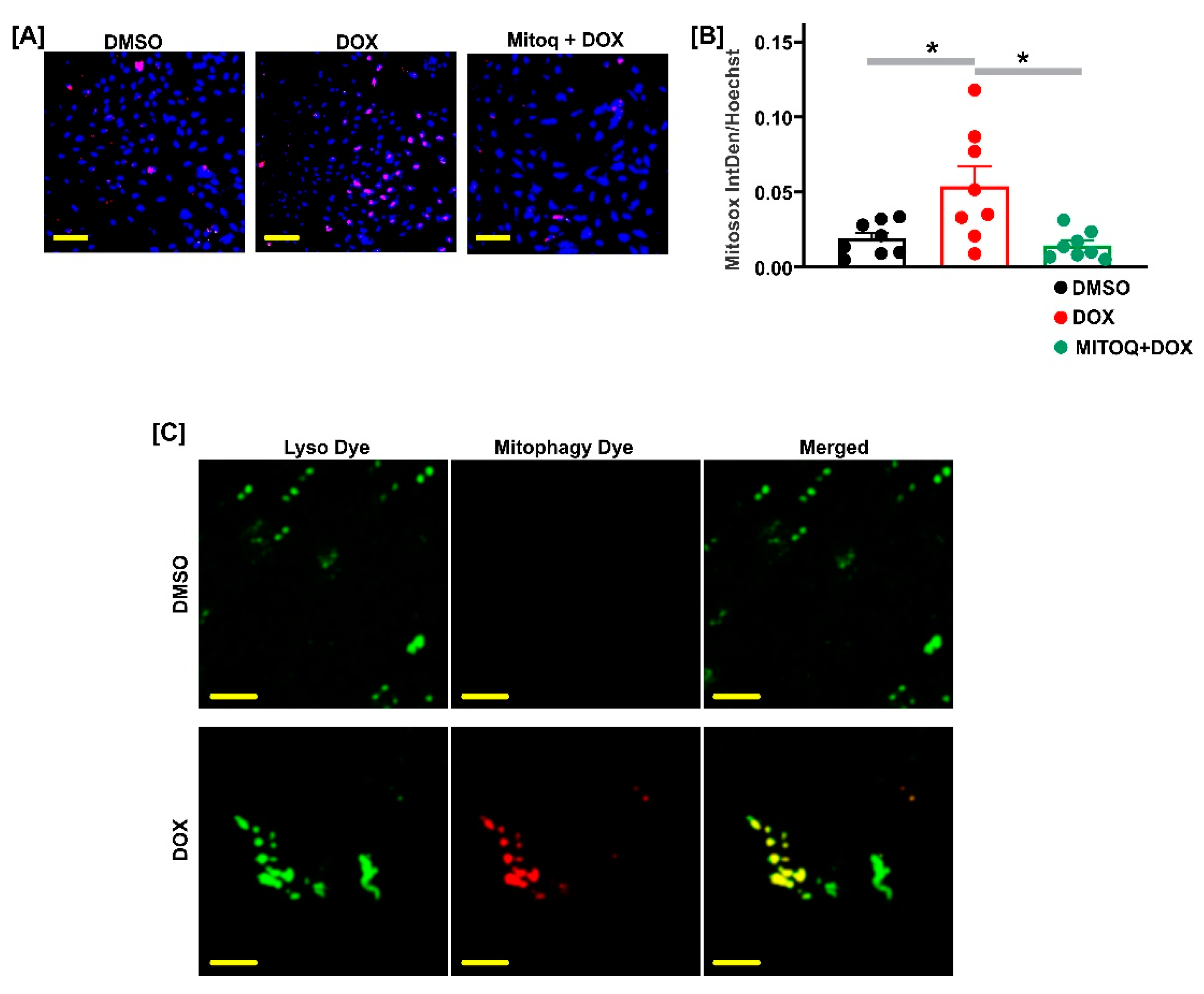 Ijms 22 07589 g003 Ijms 22 07589 g003