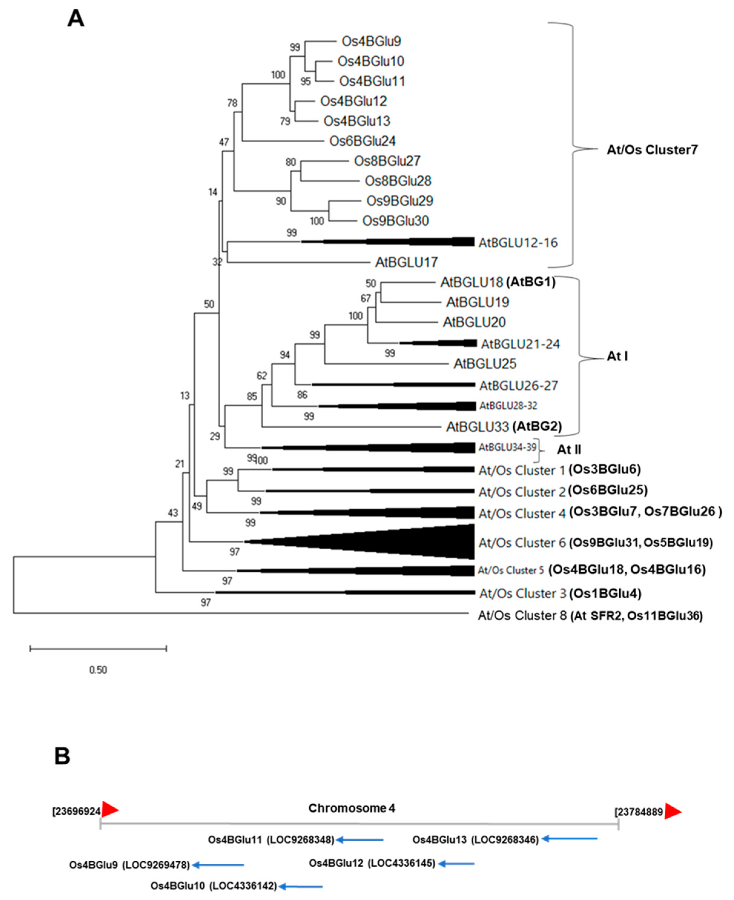 Ijms 22 07593 g001 Ijms 22 07593 g001