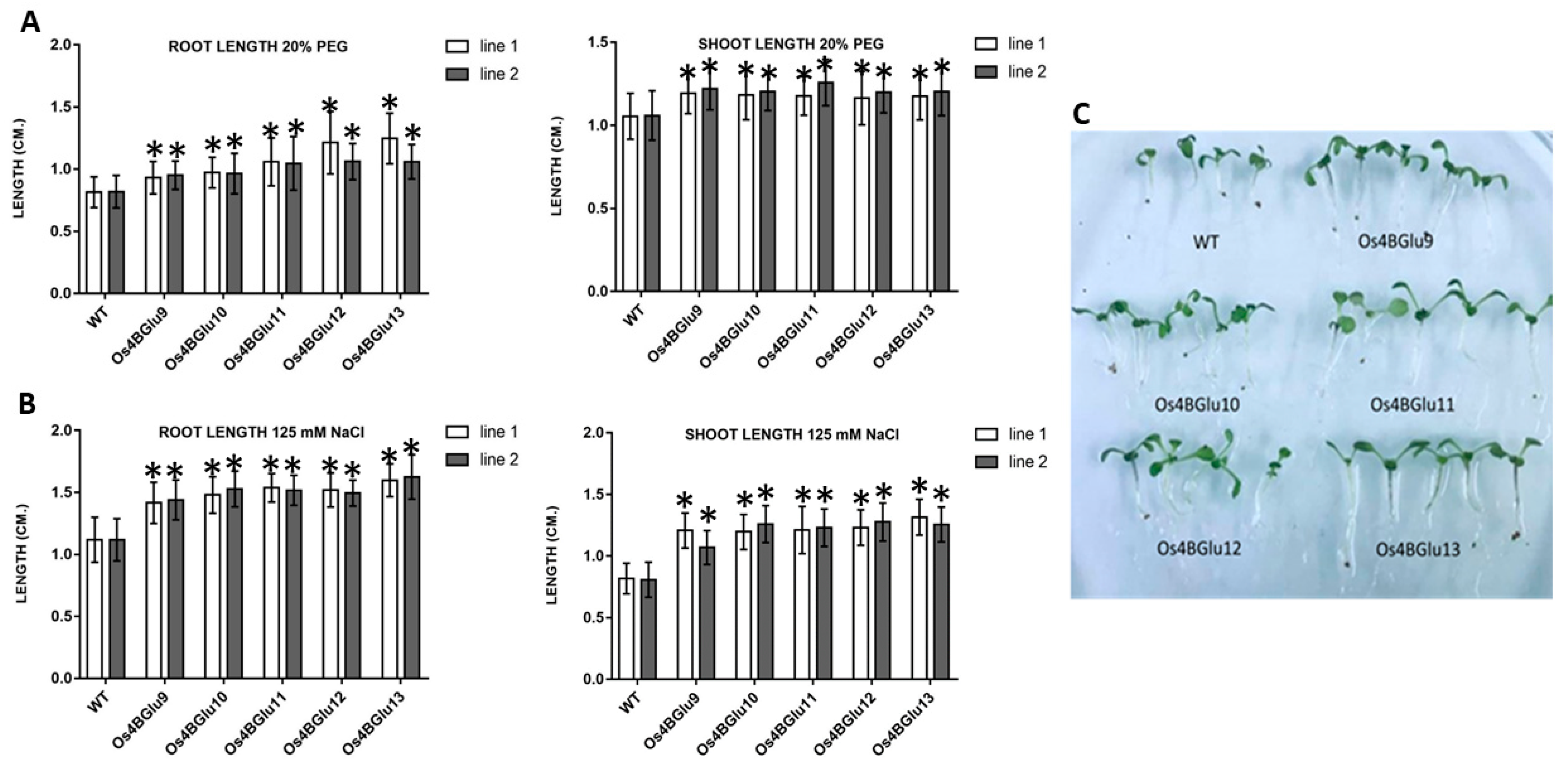Ijms 22 07593 g005 Ijms 22 07593 g005